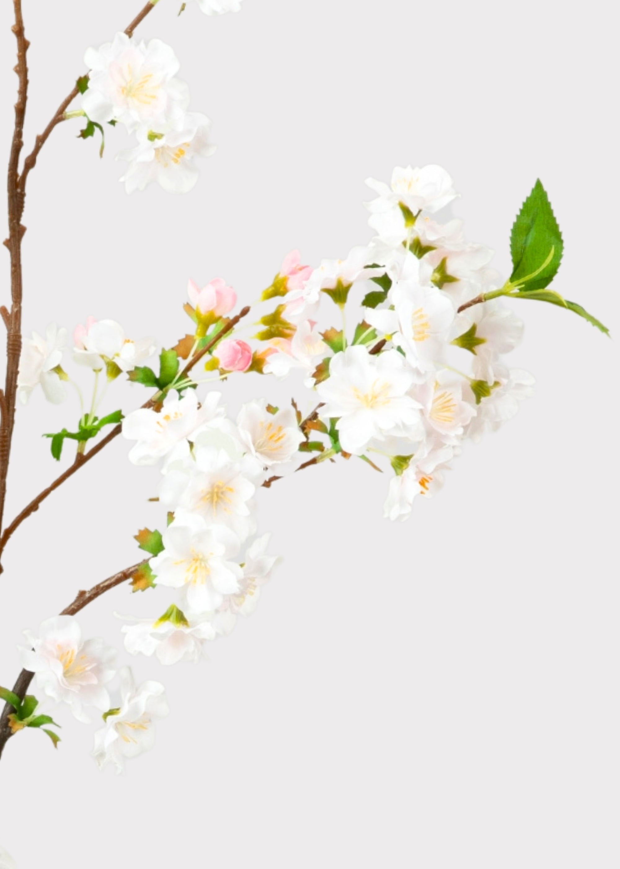 WHITE BLOSSOME Brillian Bara ホワイトブロッサム White Plum Cherry Blossom Spray - 39