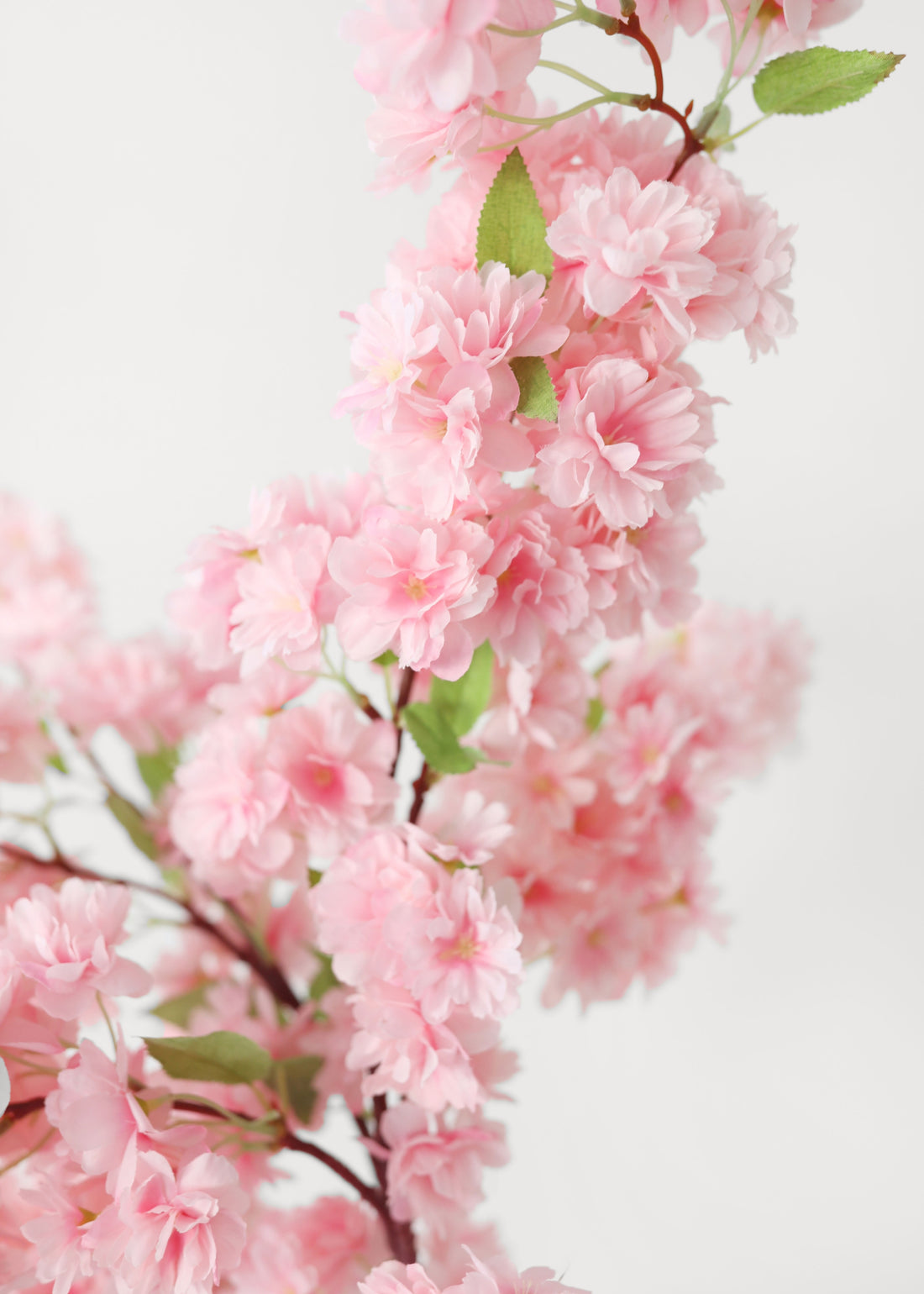 Close-up of Pink Artificial Cherry Blossom Branch