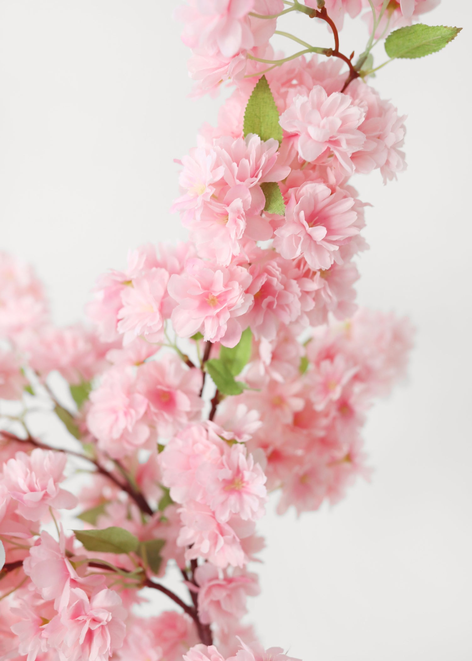 Close-up of Pink Artificial Cherry Blossom Branch