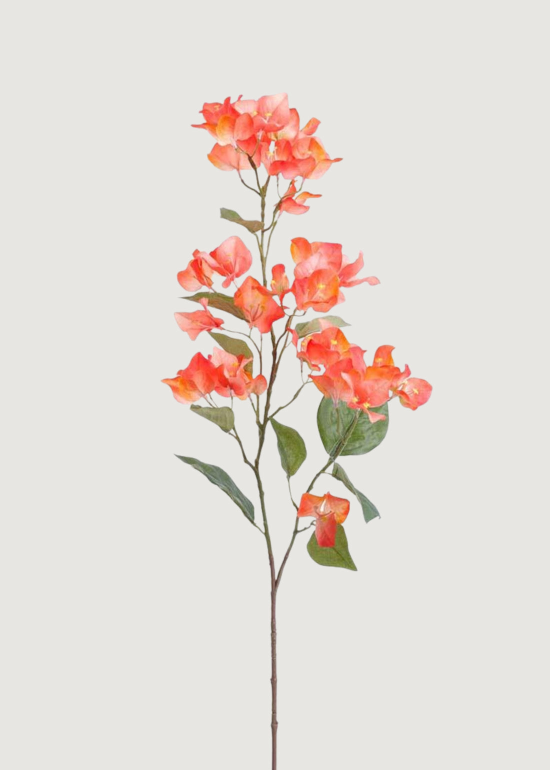 UV protected two tone coral faux bougainvillea spray with trailing blossoms and green leaves