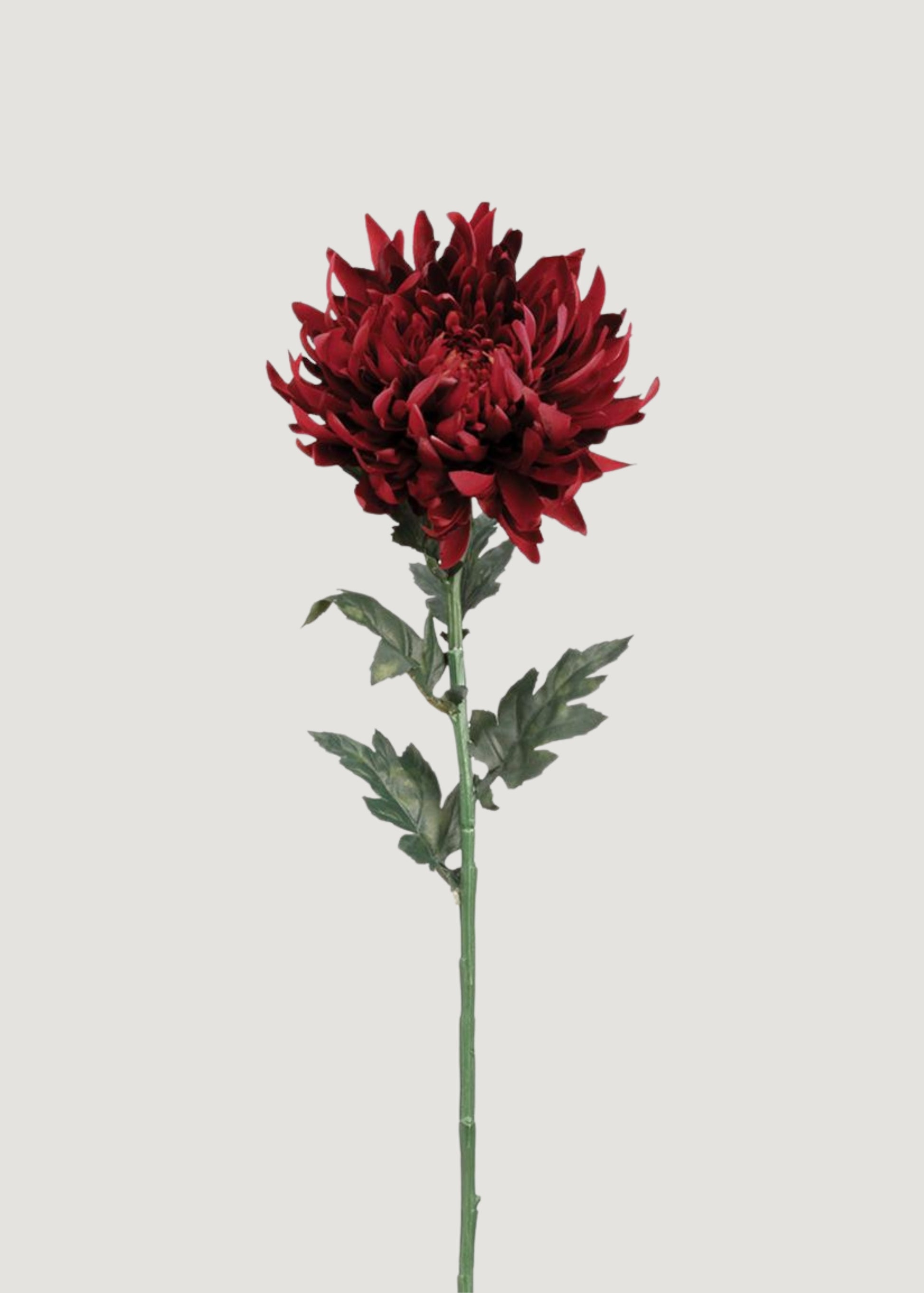 Burgundy Artificial Chrysanthemum Flower