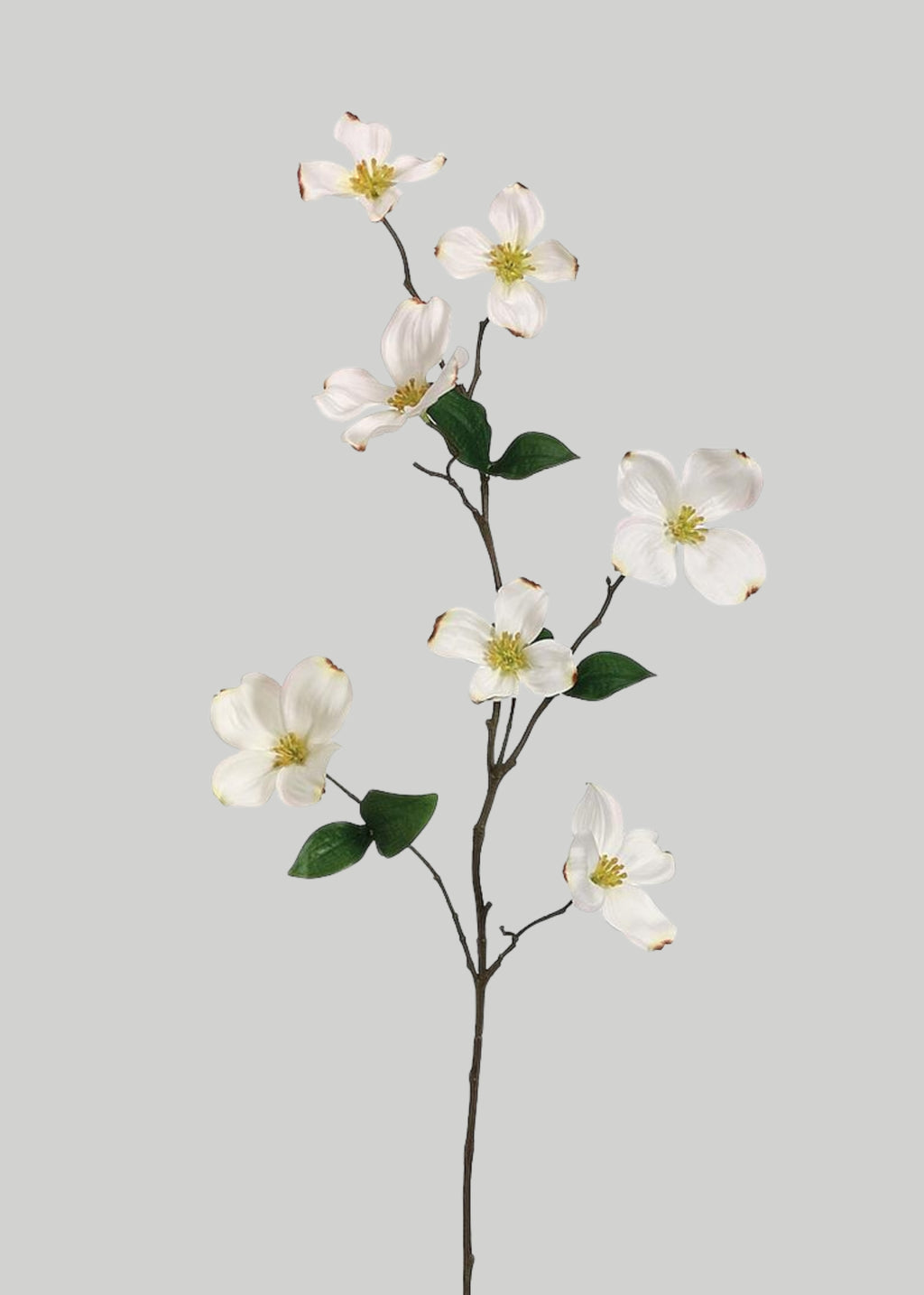 Artificial Blooming Spring Dogwood Branch in Cream
