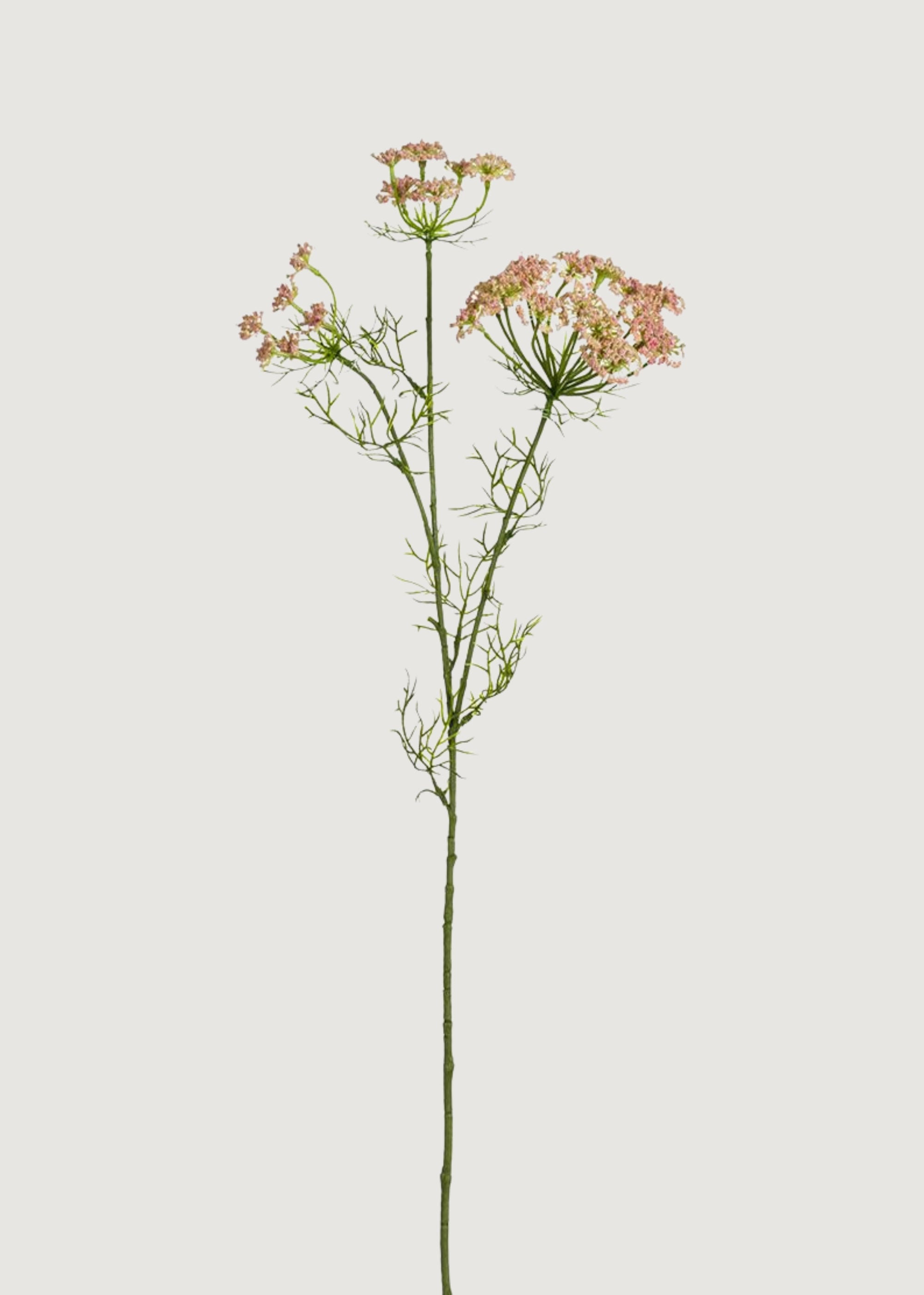 Fake Dill Branch in Pink