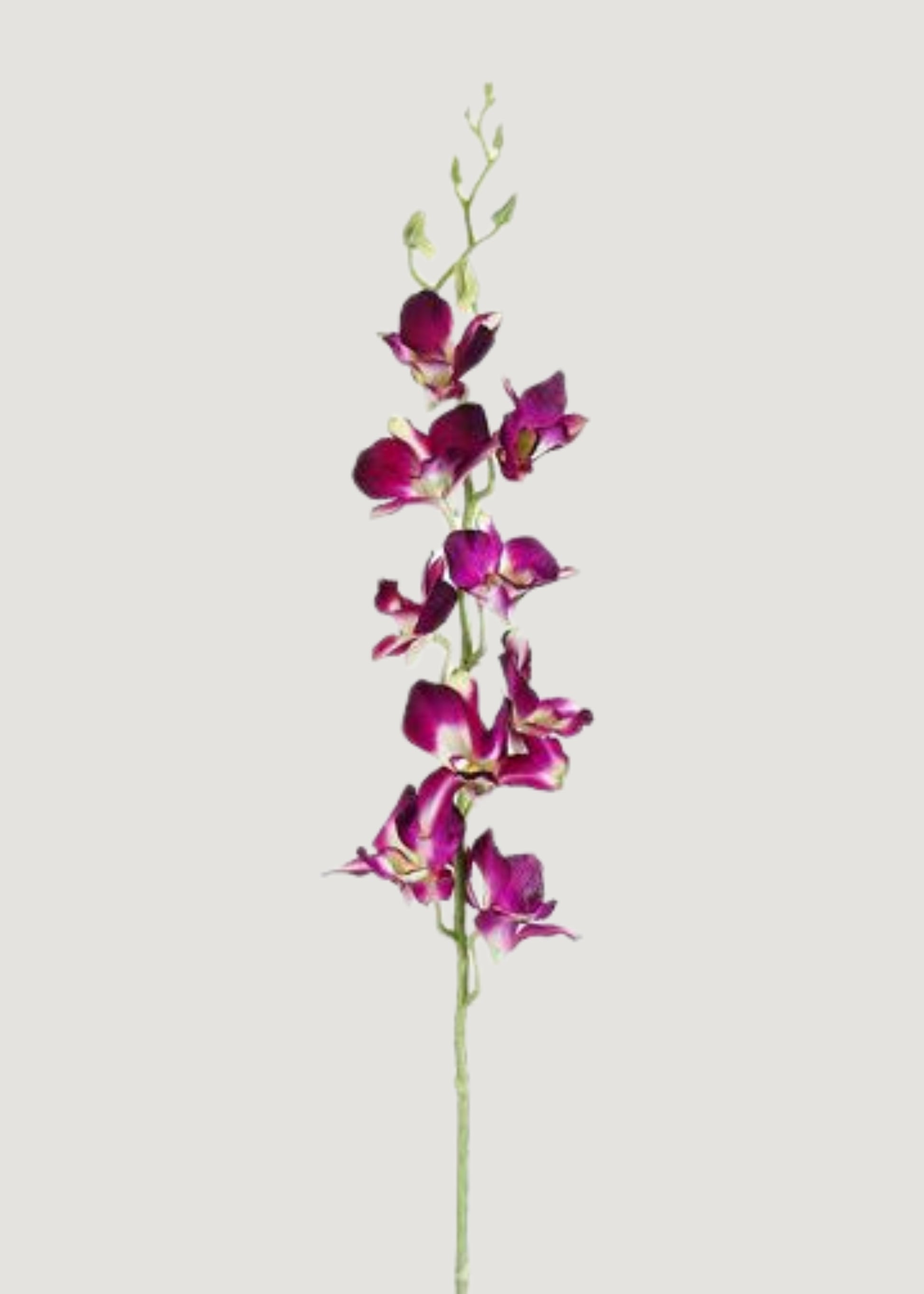 Purple Artificial Dendrobium Orchid Flower Stem