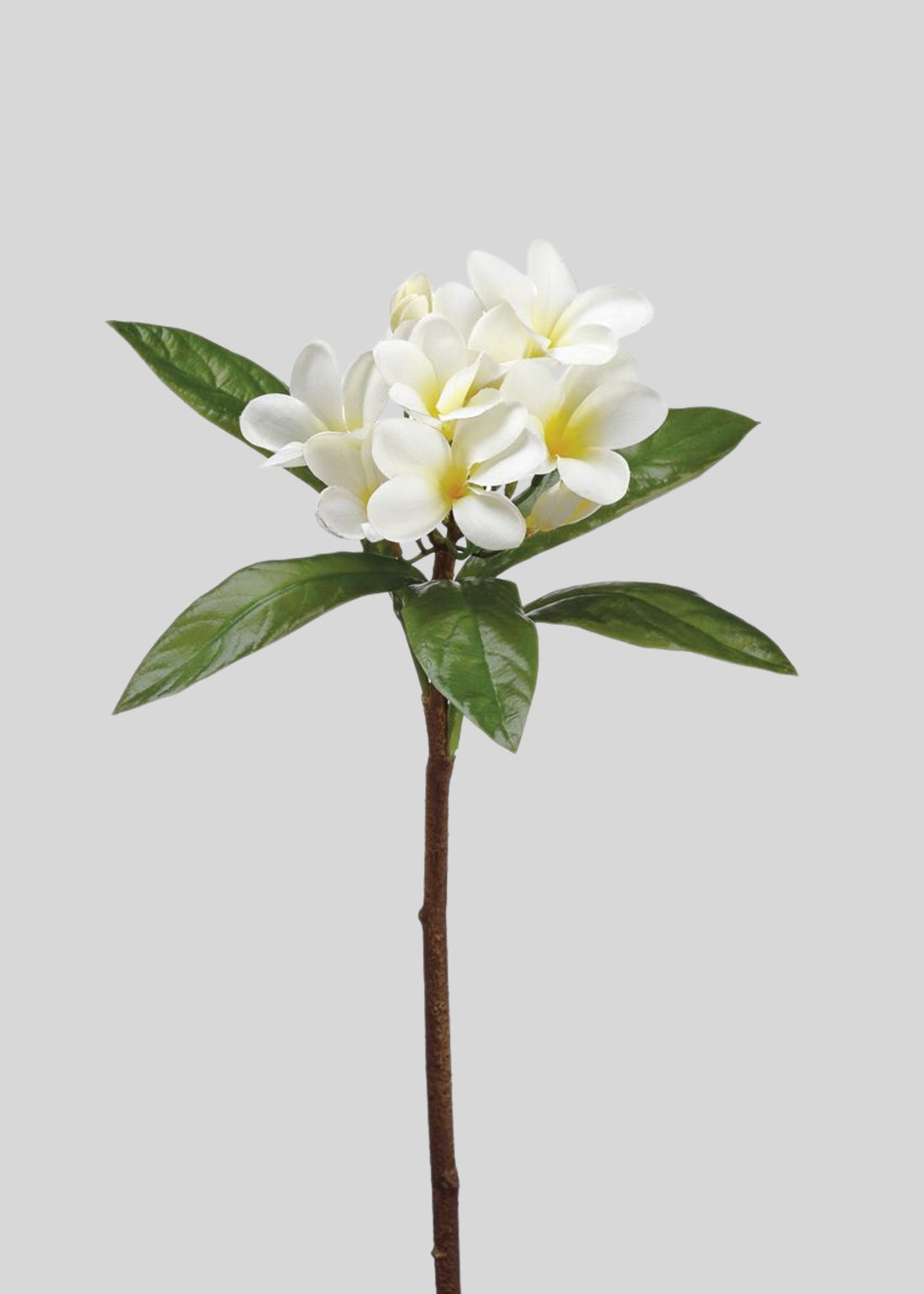 Tropical Plumeria Artificial Flowers in Cream Yellow