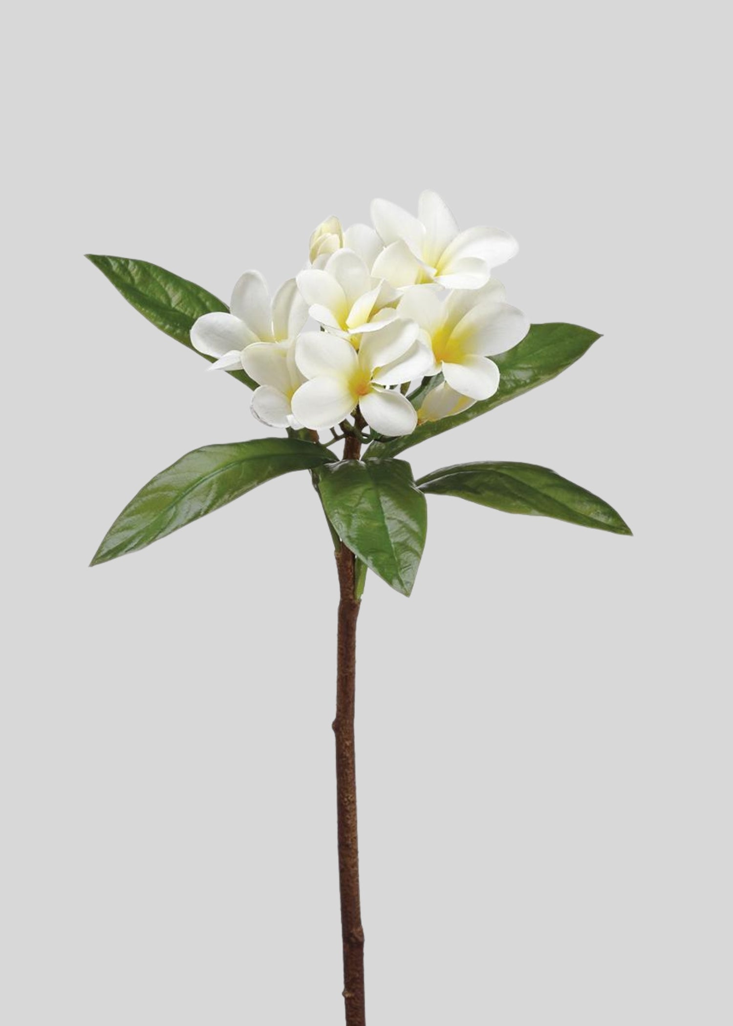 Tropical Plumeria Artificial Flowers in Cream Yellow