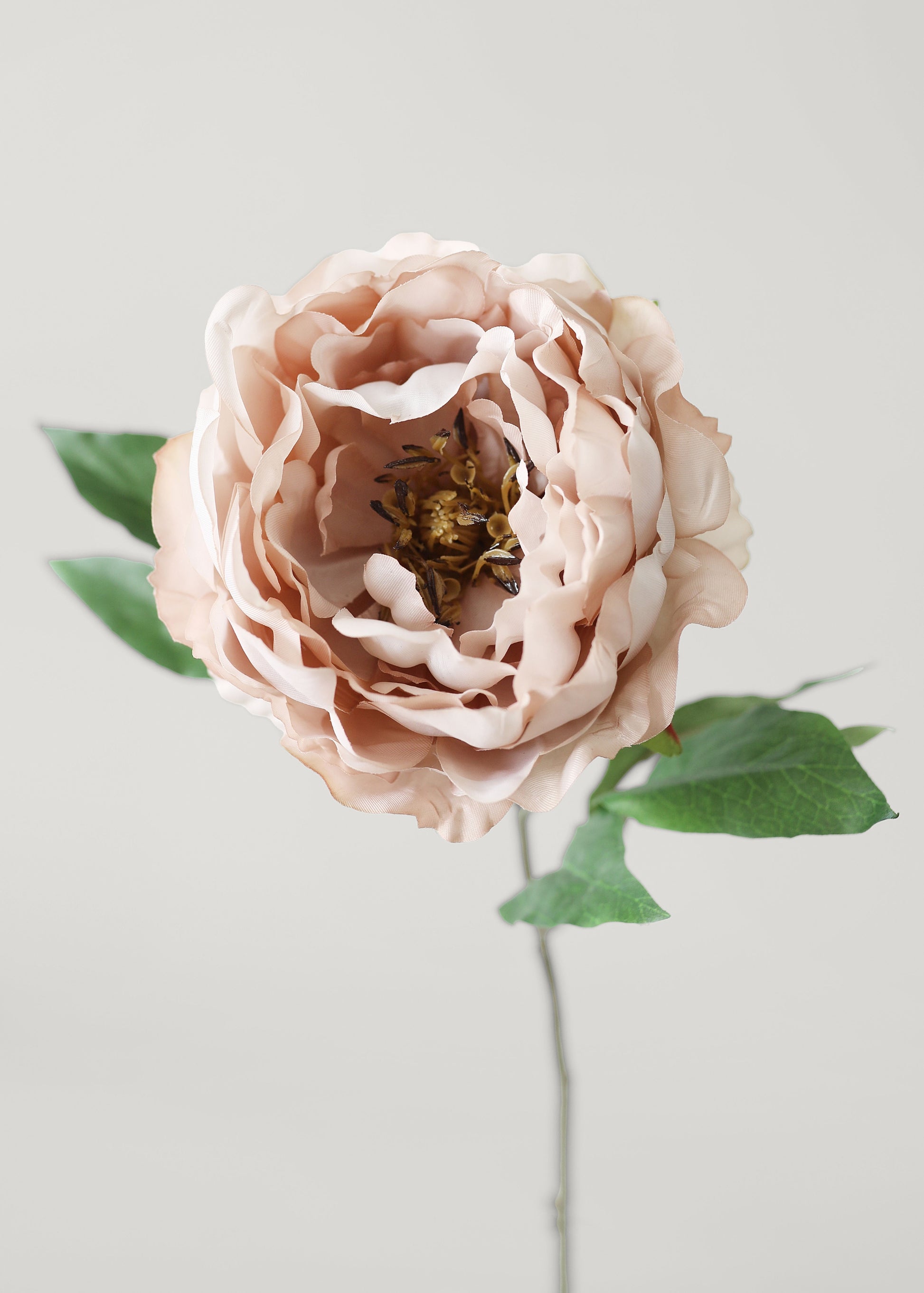 Afloral Luxe Faux Flowers Peony in Taupe Mauve