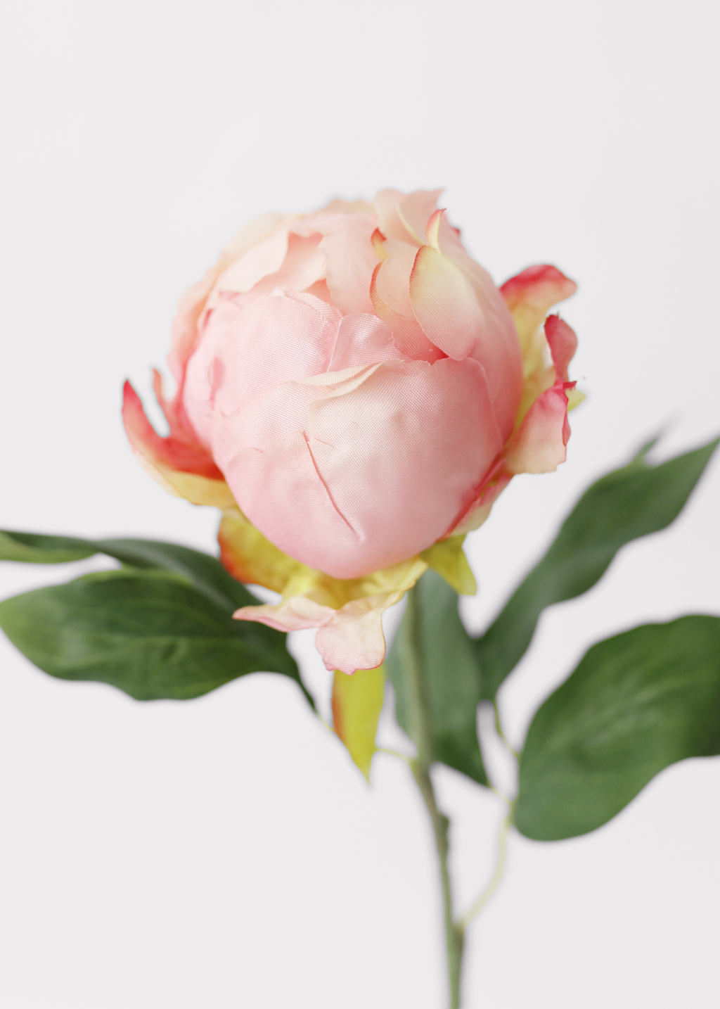 Artificial Peony Bud in Pink