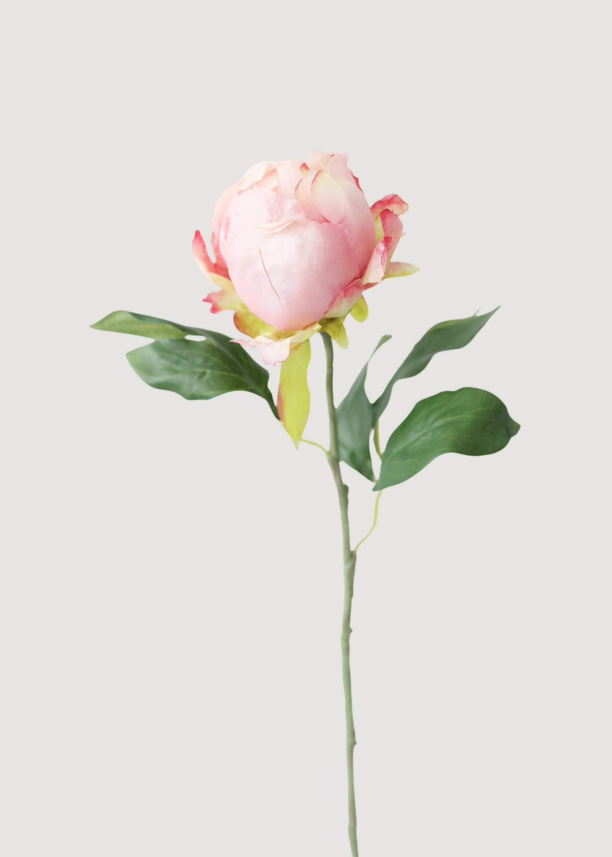 Faux Pink Peony Bud