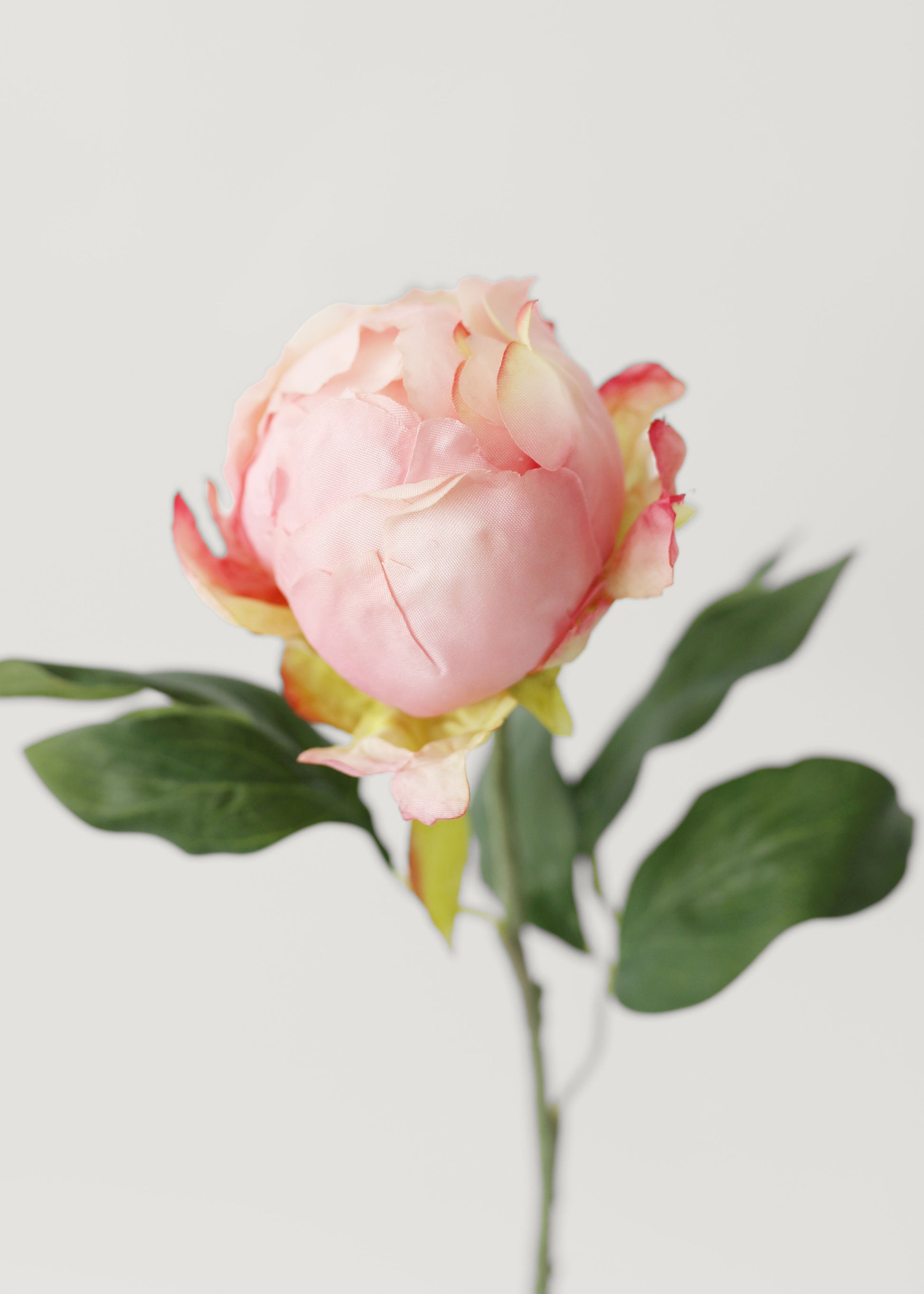 Artificial Peony Bud in Pink
