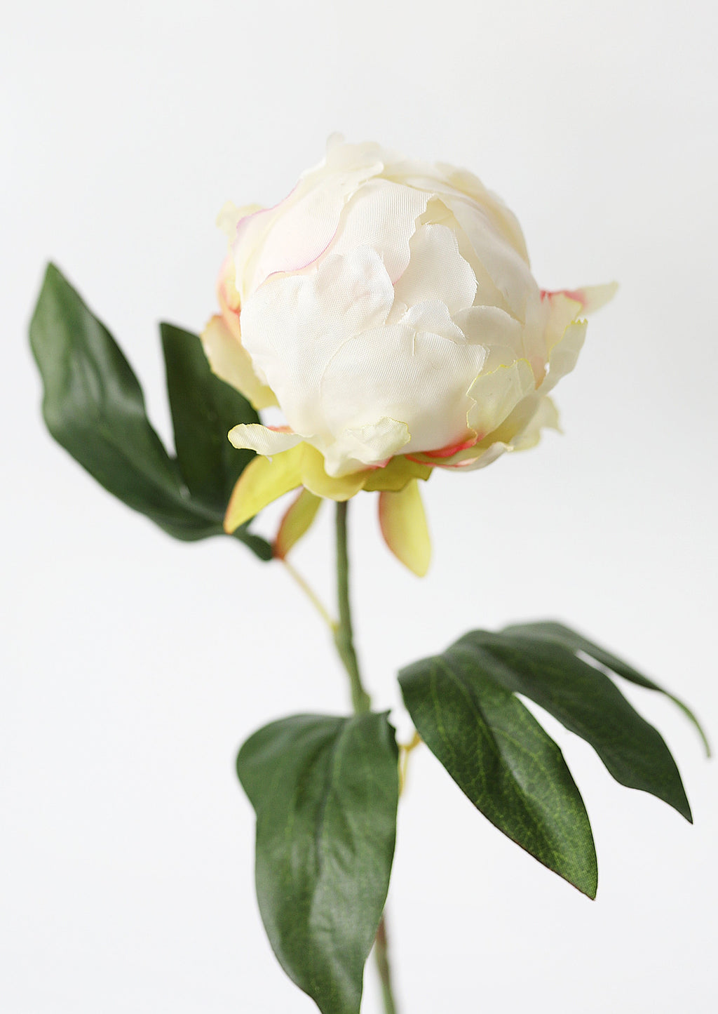 Artificial Flower Peony Bud in Cream - 18"