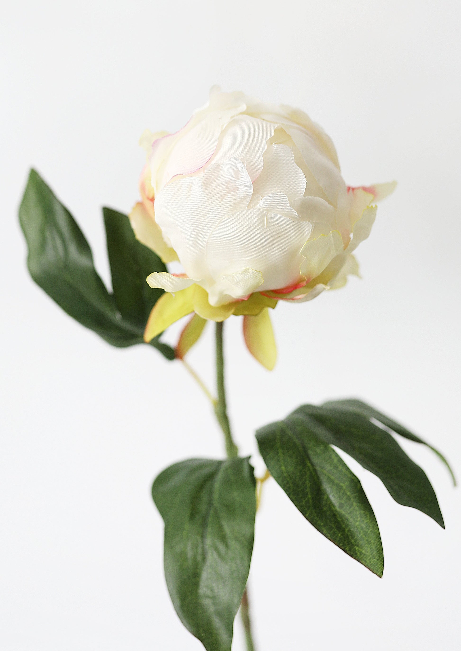 Artificial Flower Peony Bud in Cream - 18"