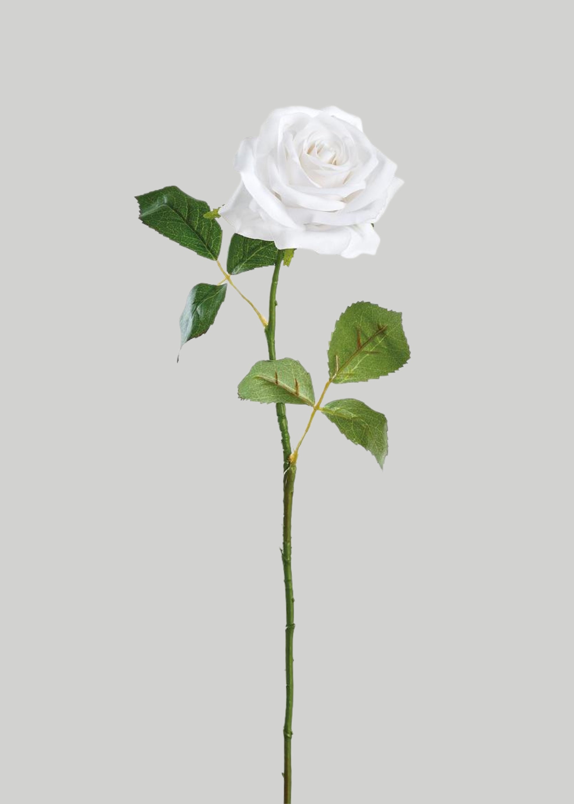 Real Touch Rose in Cream White 