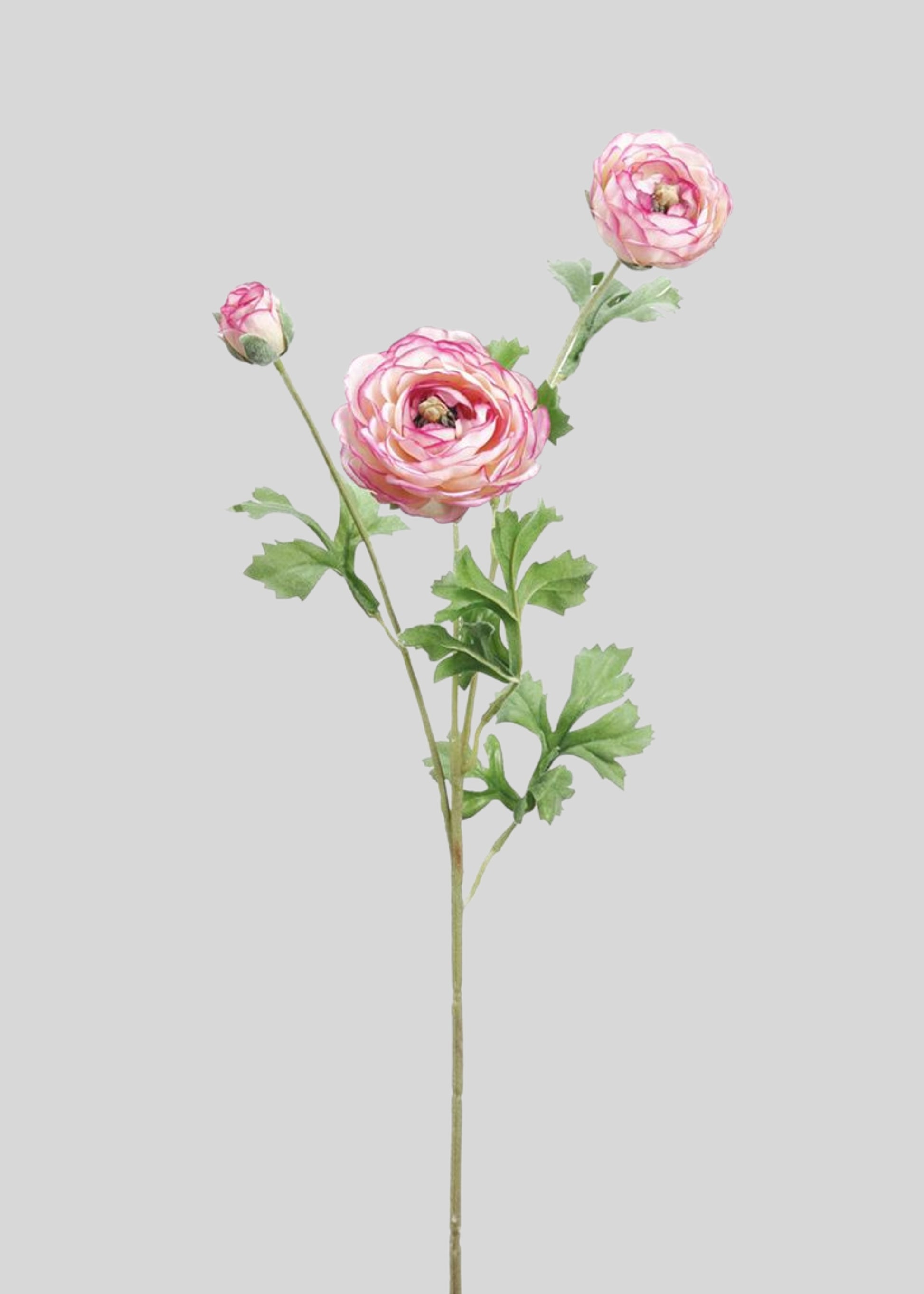 Pink and Cream Fake Ranunculus Flowers