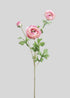 Pink and Cream Fake Ranunculus Flowers