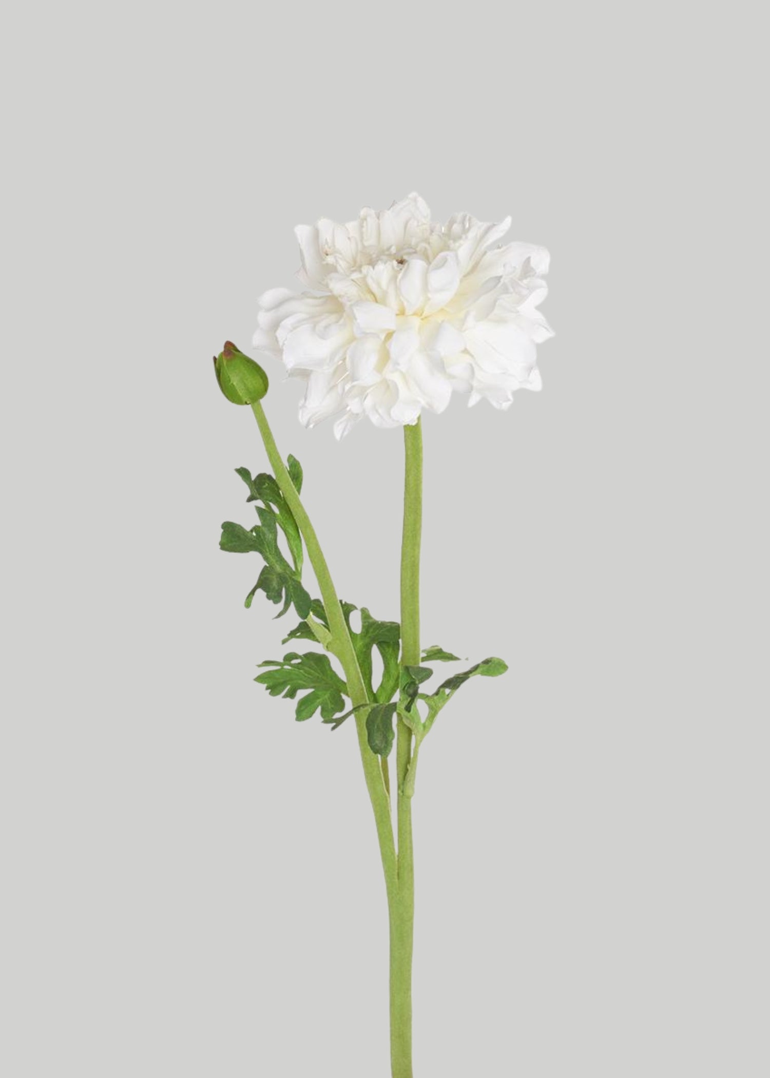 Fake White Ranunculus