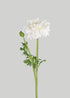 Fake White Ranunculus