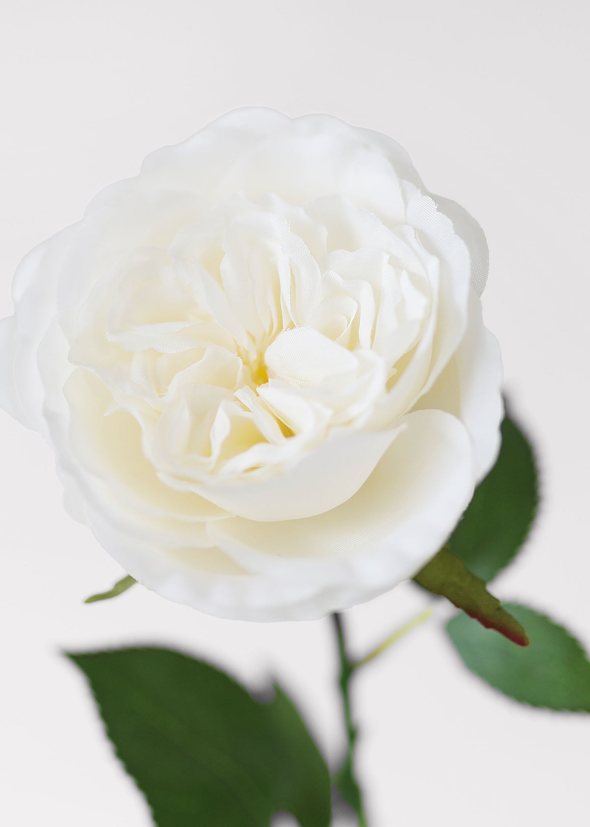 Englsih Roses Fake White Fake English Cabbage Rose - 20.5