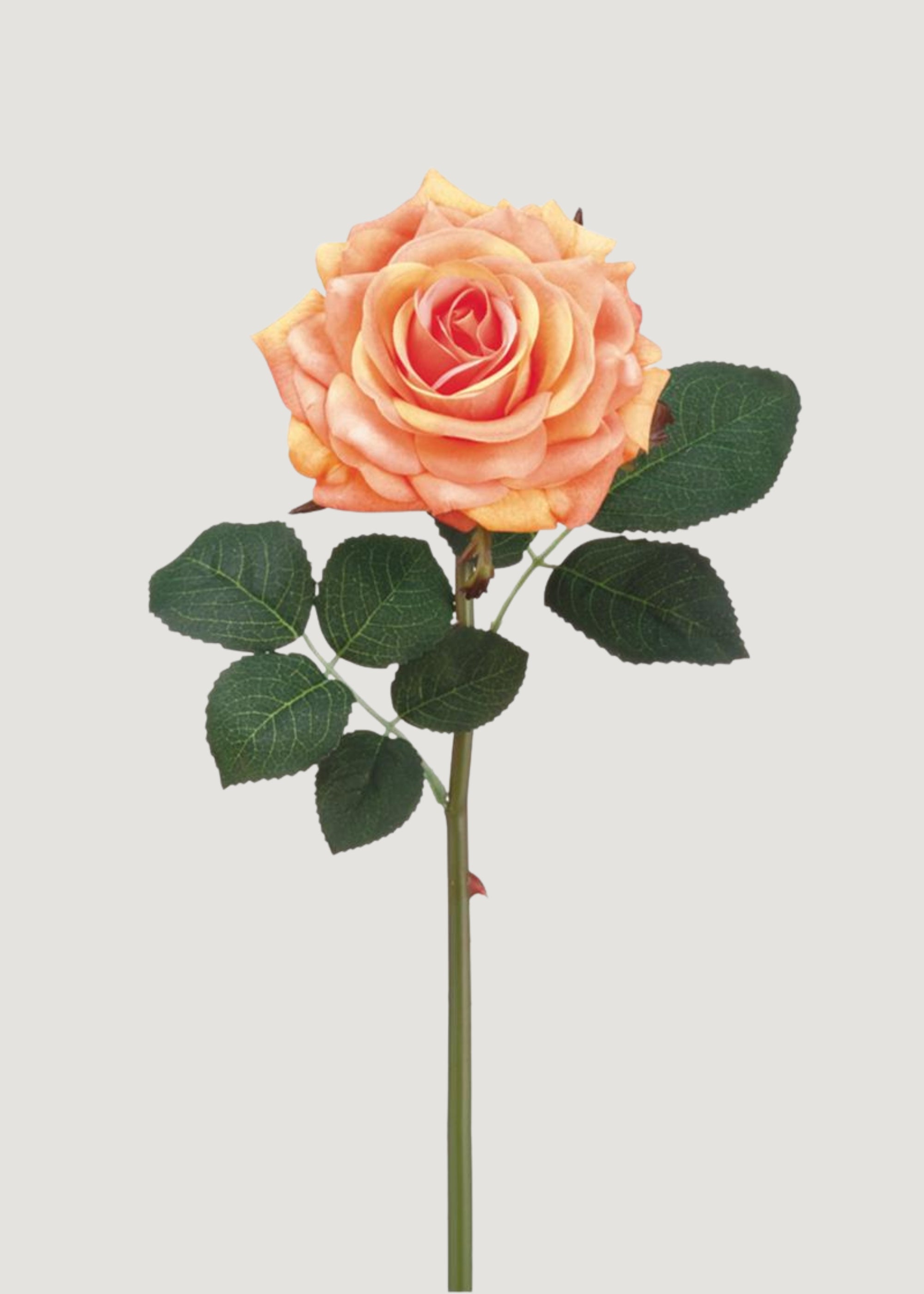 Real Touch Rose in Peach