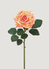 Real Touch Rose in Peach