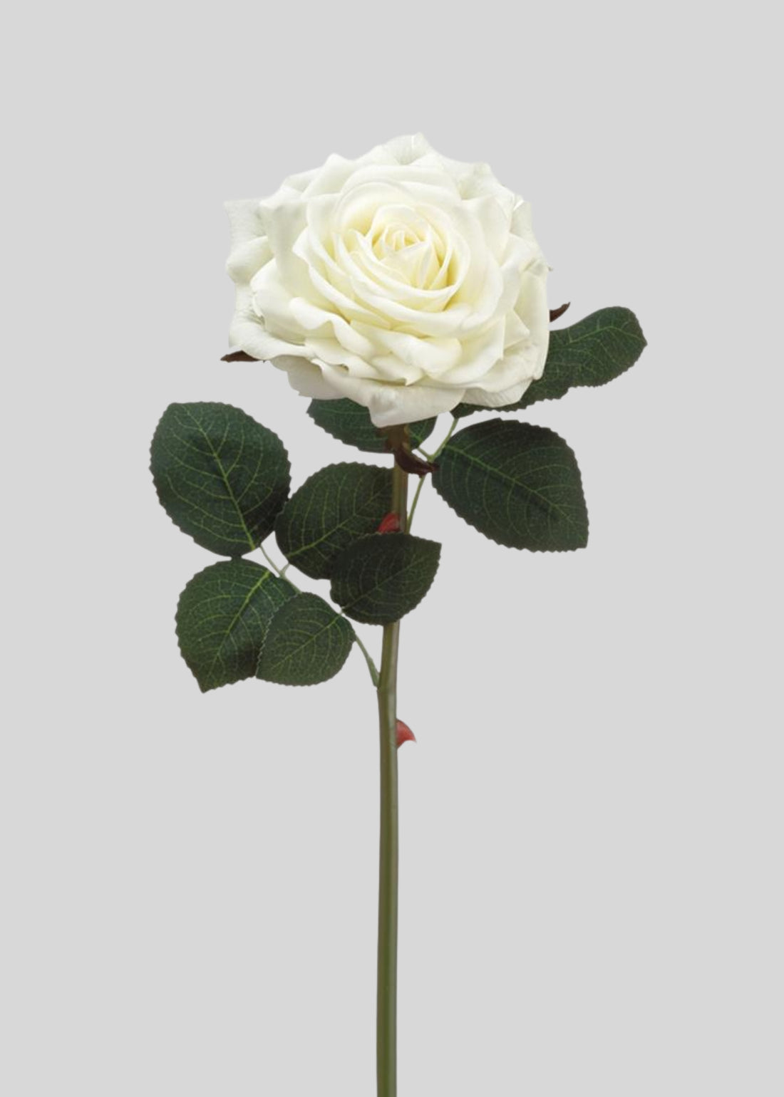White Real Touch Rose 