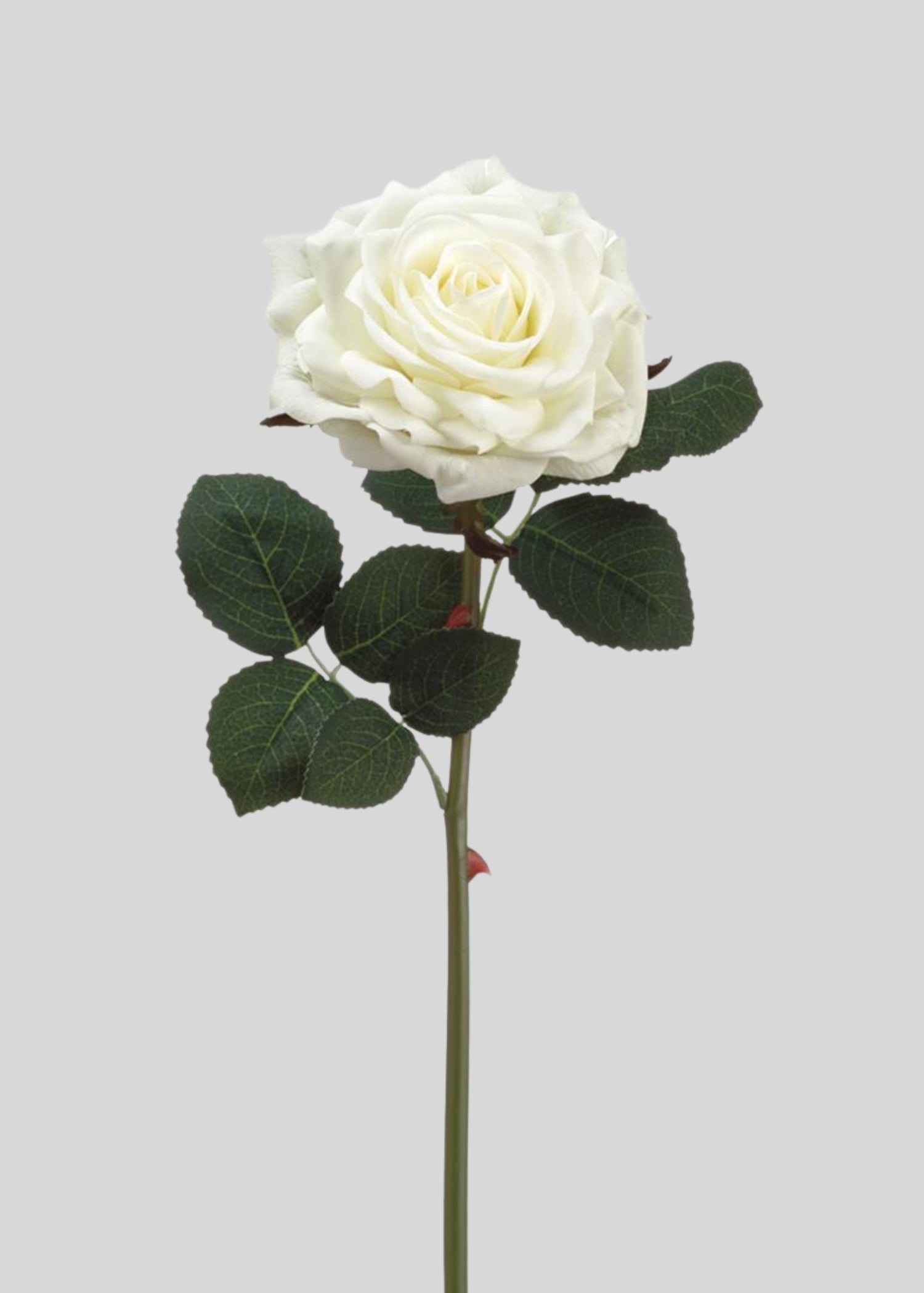 White Real Touch Rose 