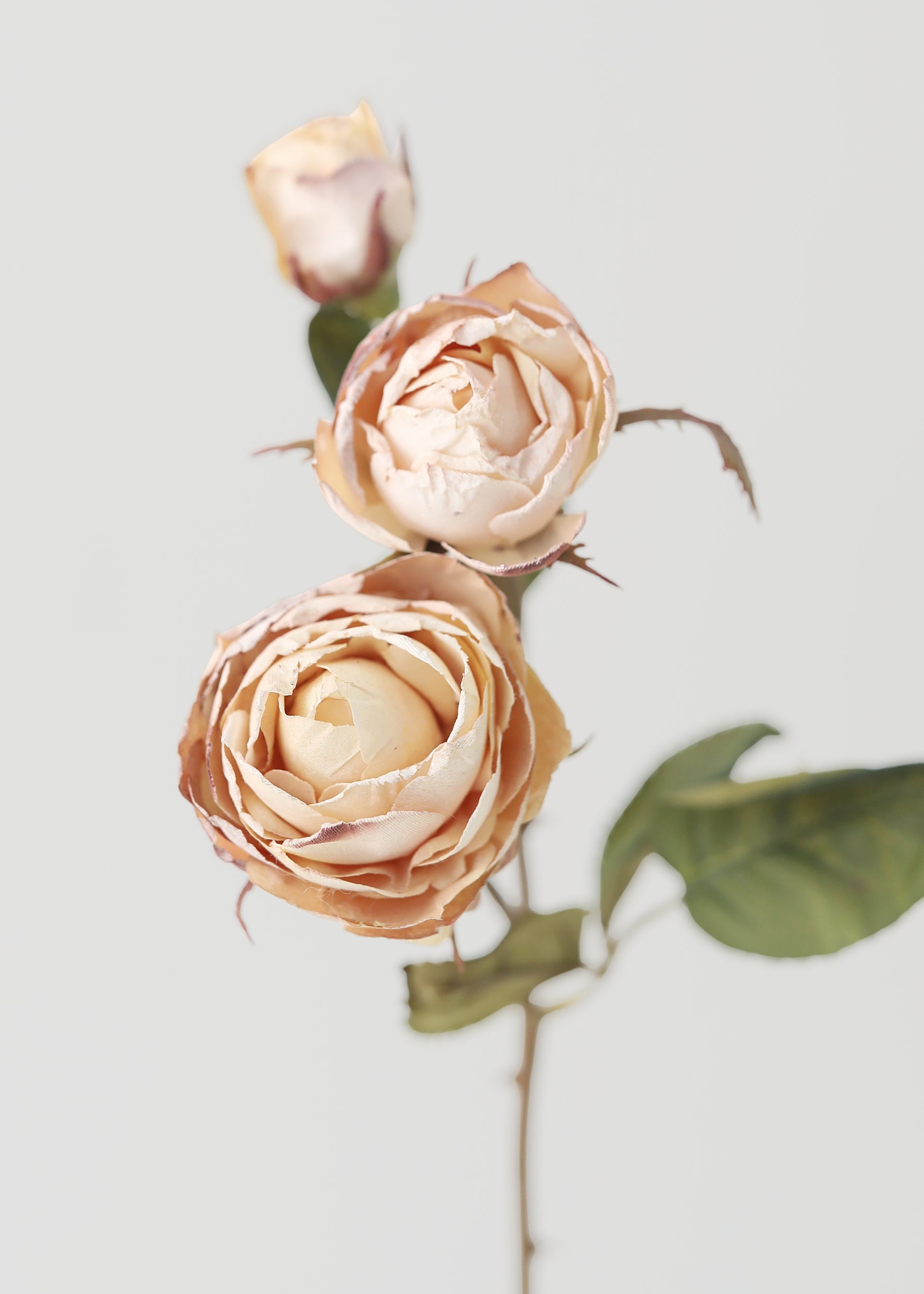 Faux Roses with a Dried look