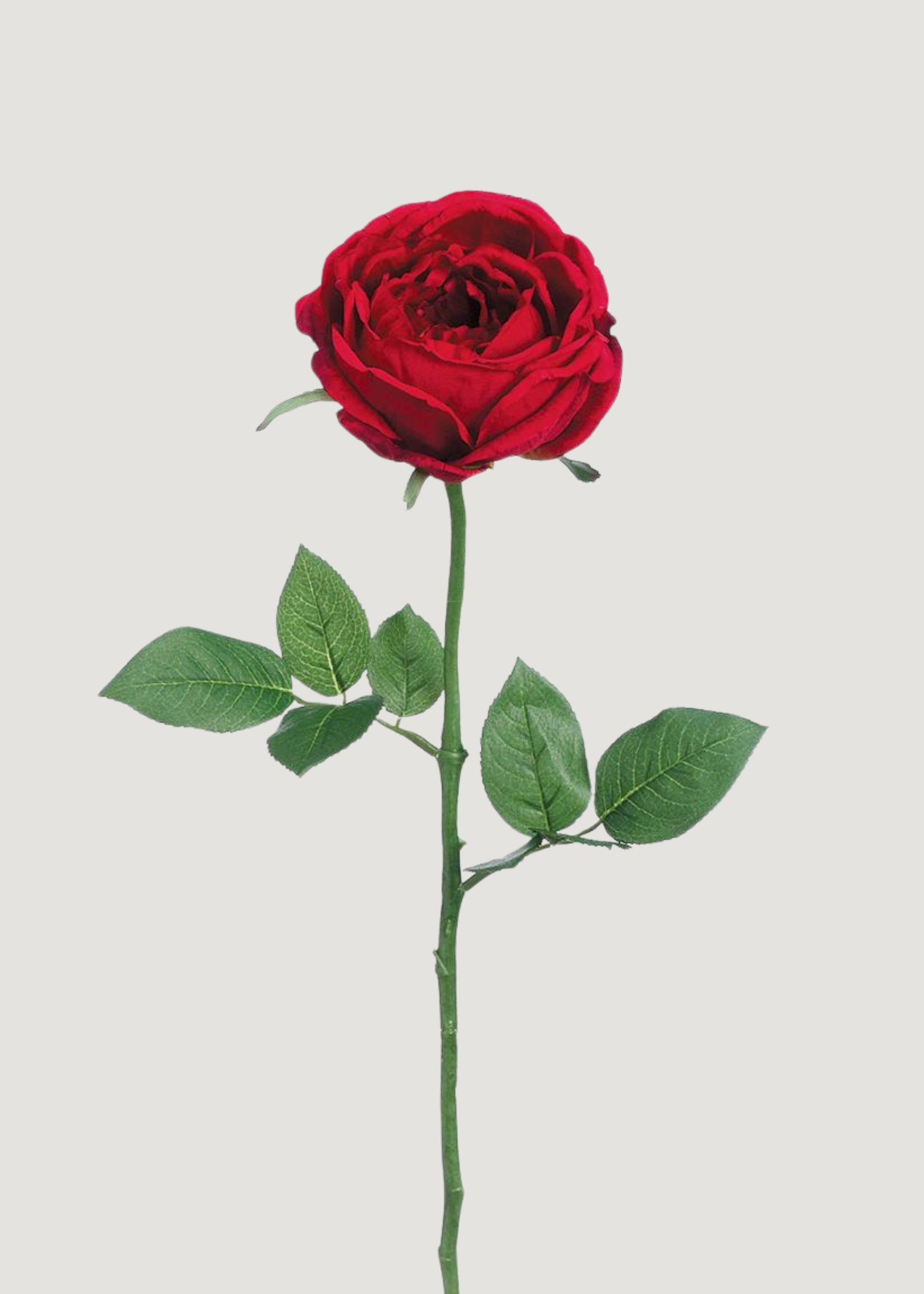 Red Artificial Garden Cabbage Rose