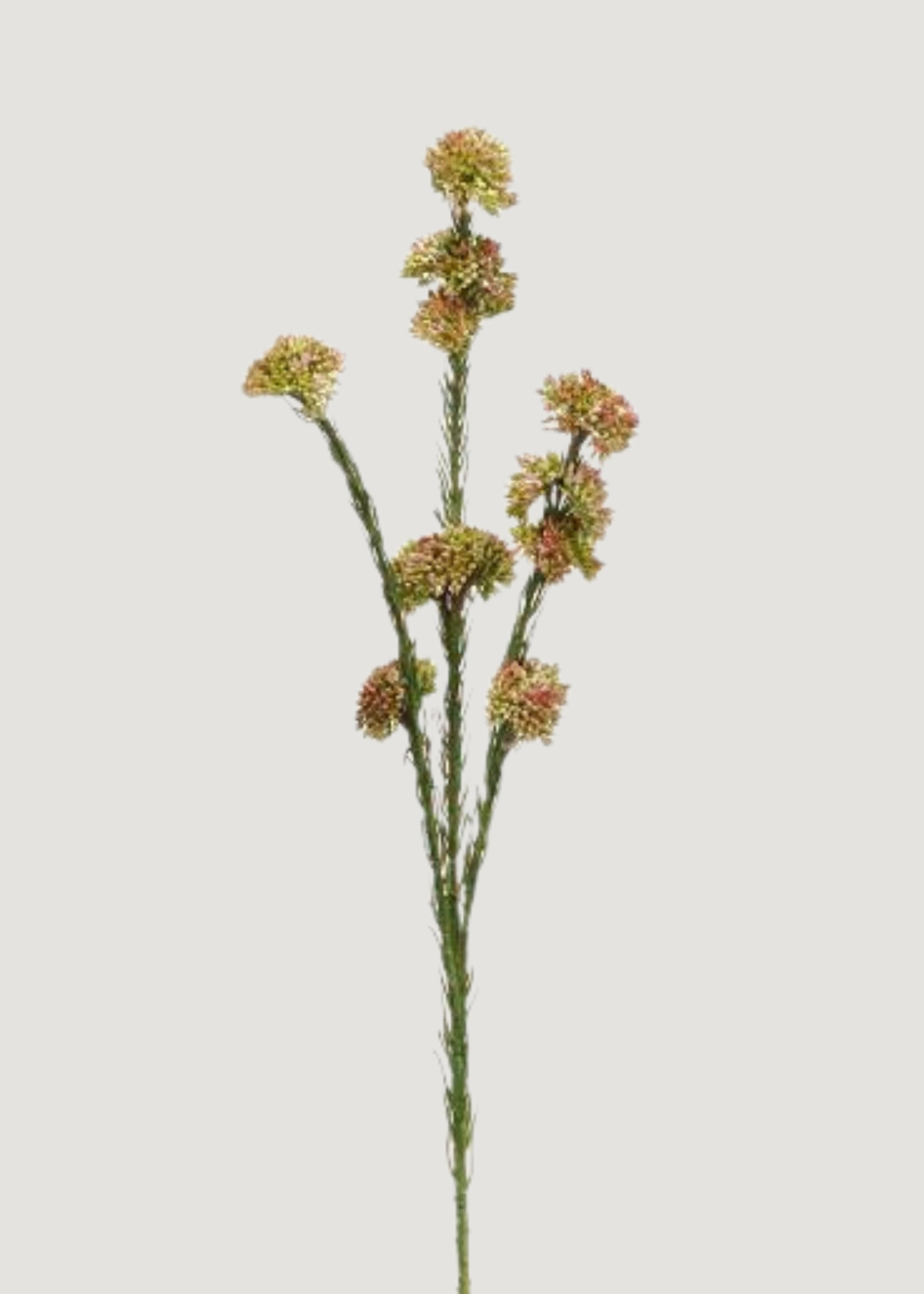 Fake Succulents Mauve Green Sedum Cluster Stem