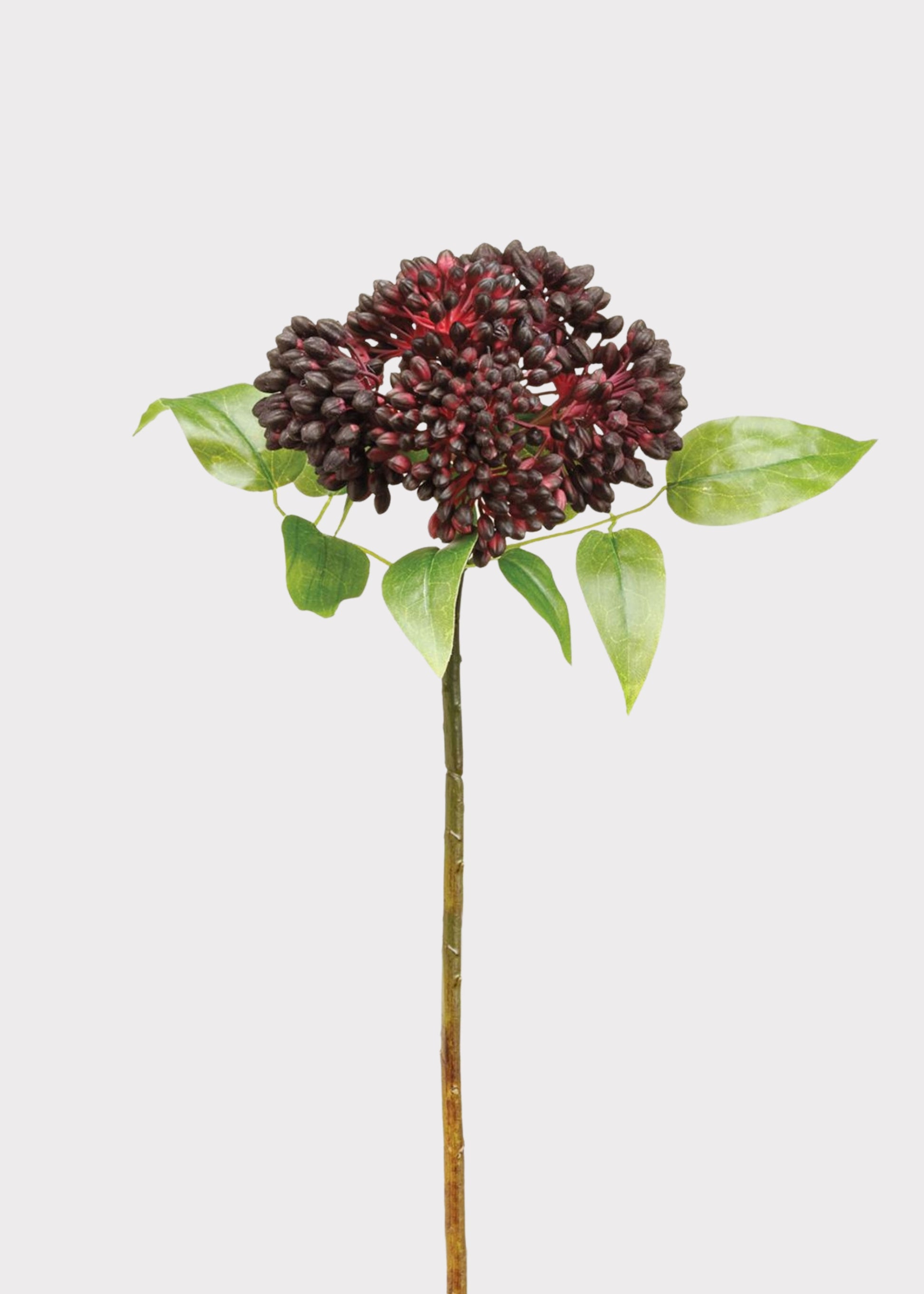 Artificial Sedum Succulent in Burgundy 