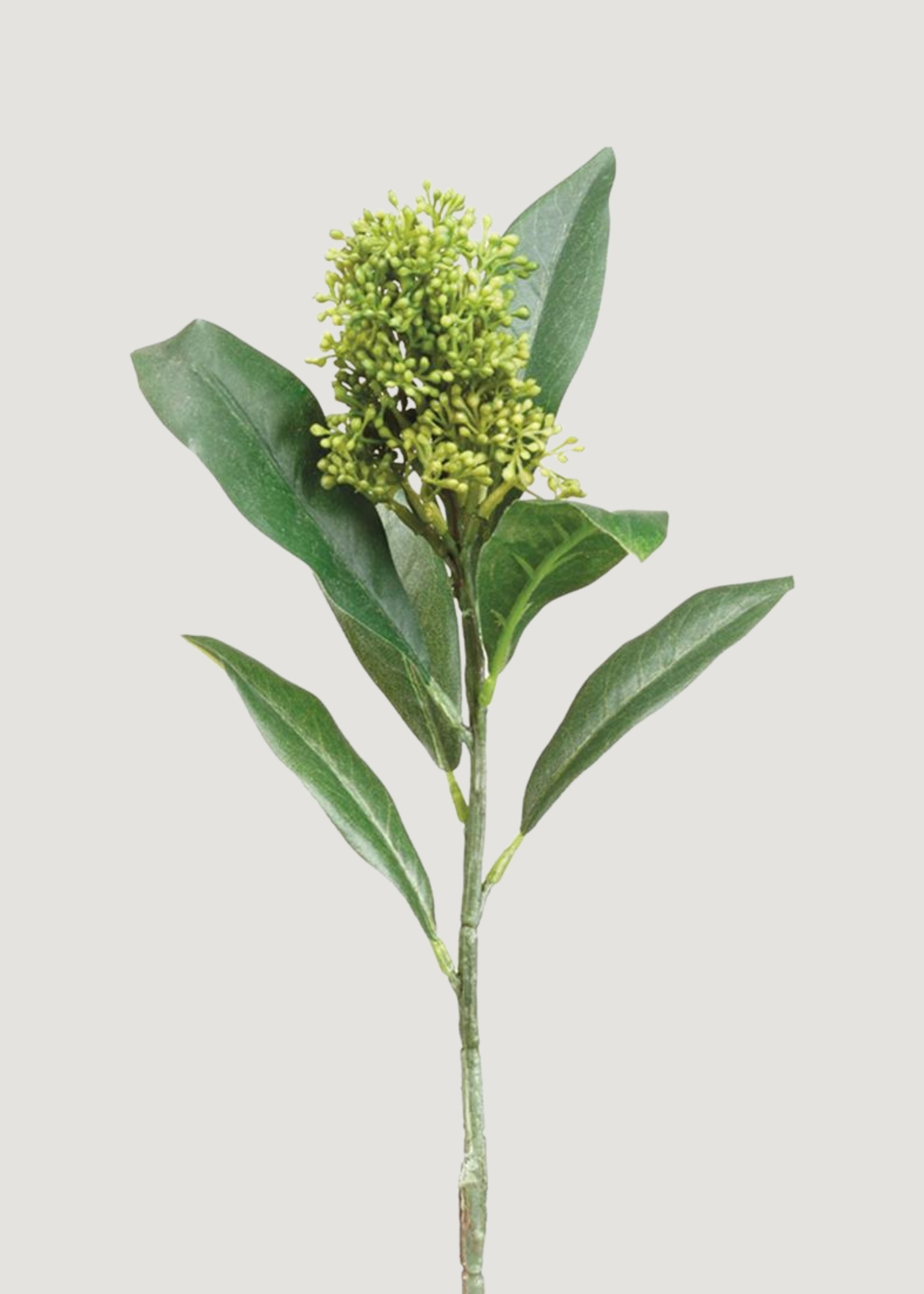 Green Artificial Skimmia Flower Pick 
