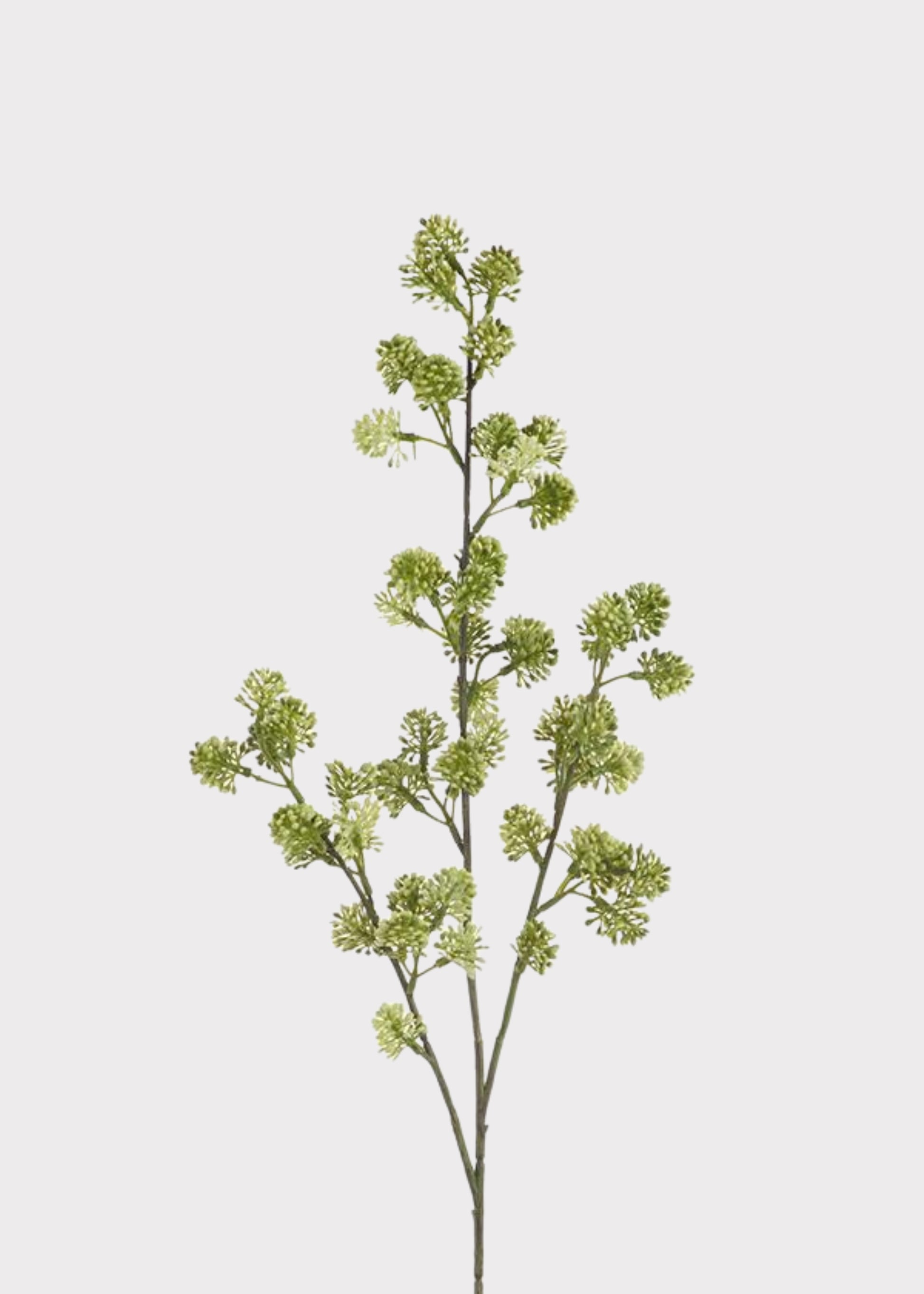 Green cream artificial sedum succulent branch with lifelike clustered rosettes