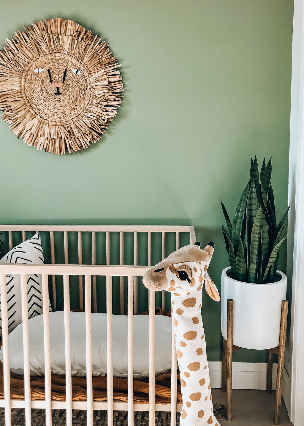 Fake Potted Snake Plant  for Nurseries