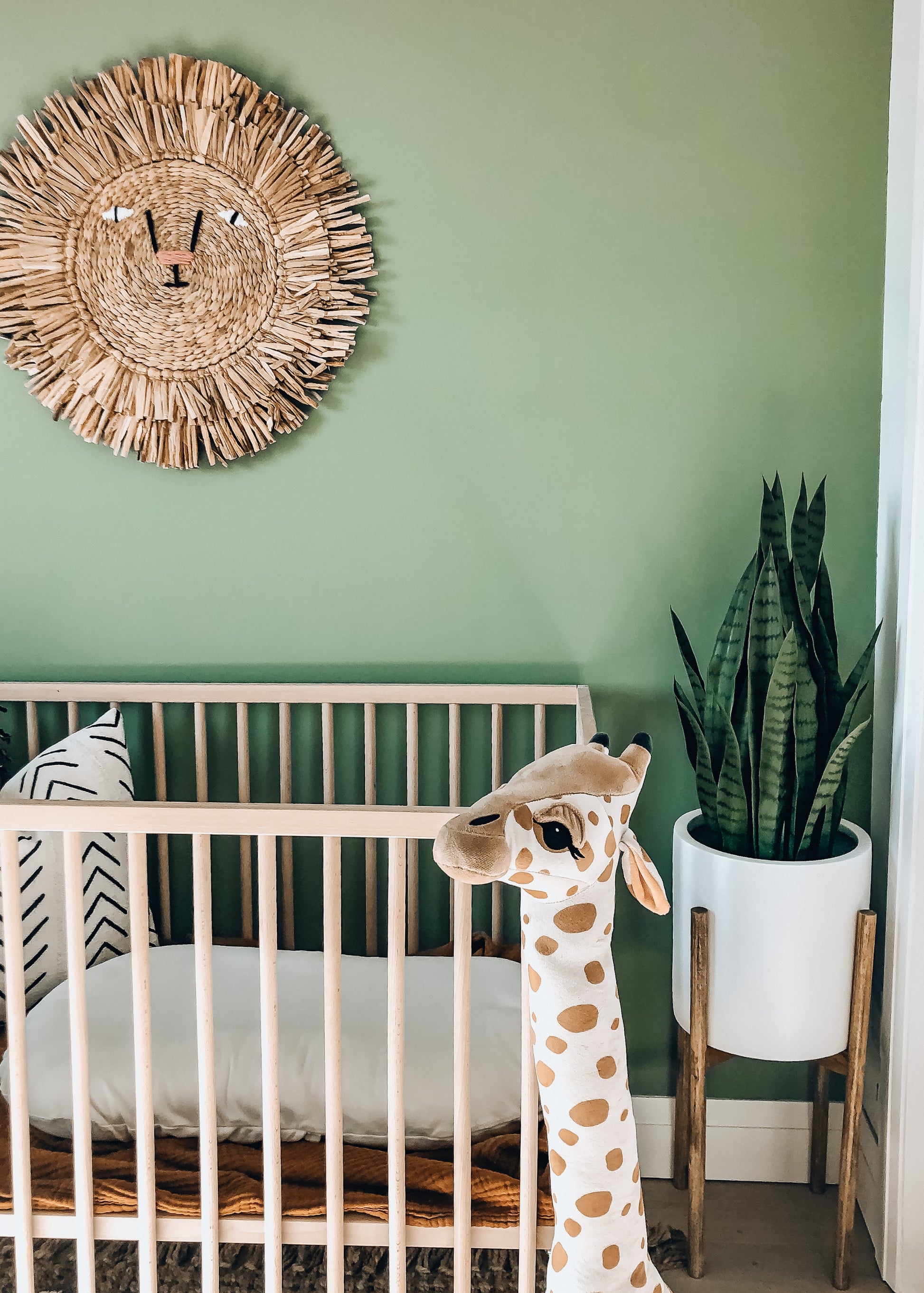 Fake Potted Snake Plant  for Nurseries