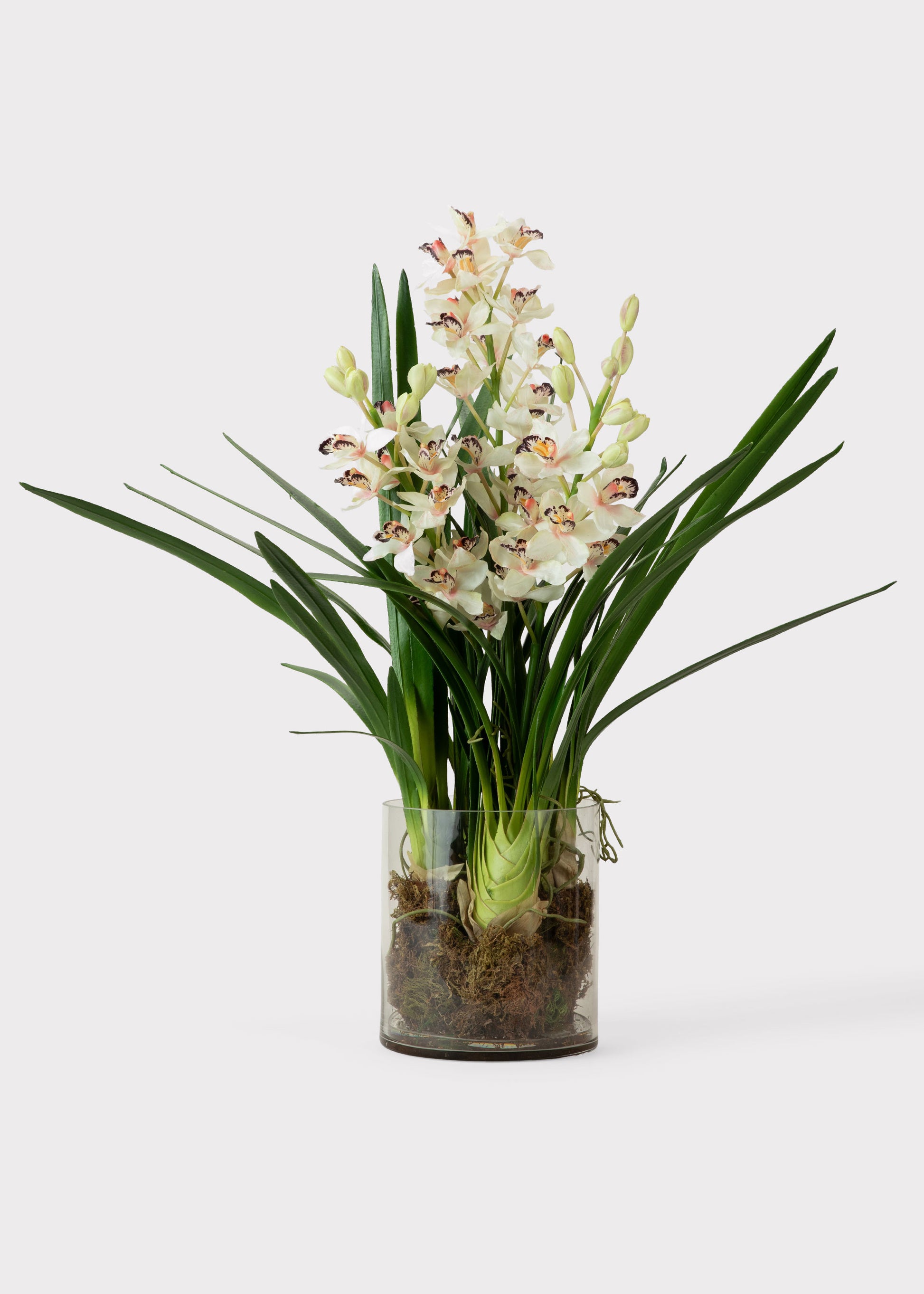 Faux Cymbidium Orchid Potted Plant in Glass Vase 