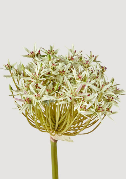 Premium Artificial Flowers Green Allium Stem at Afloral