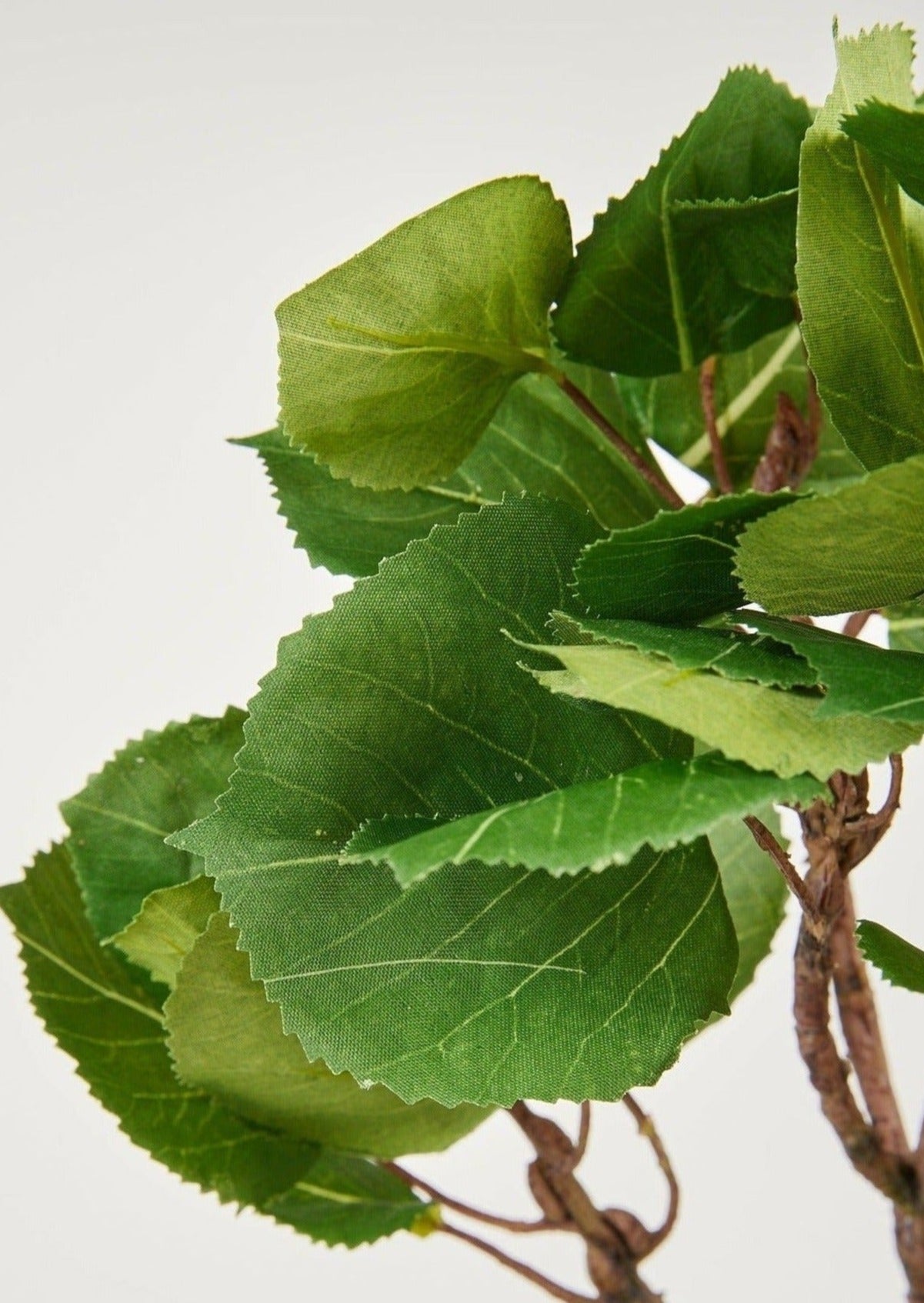Closeup View of Artificial Green Aspen Branch Leaves