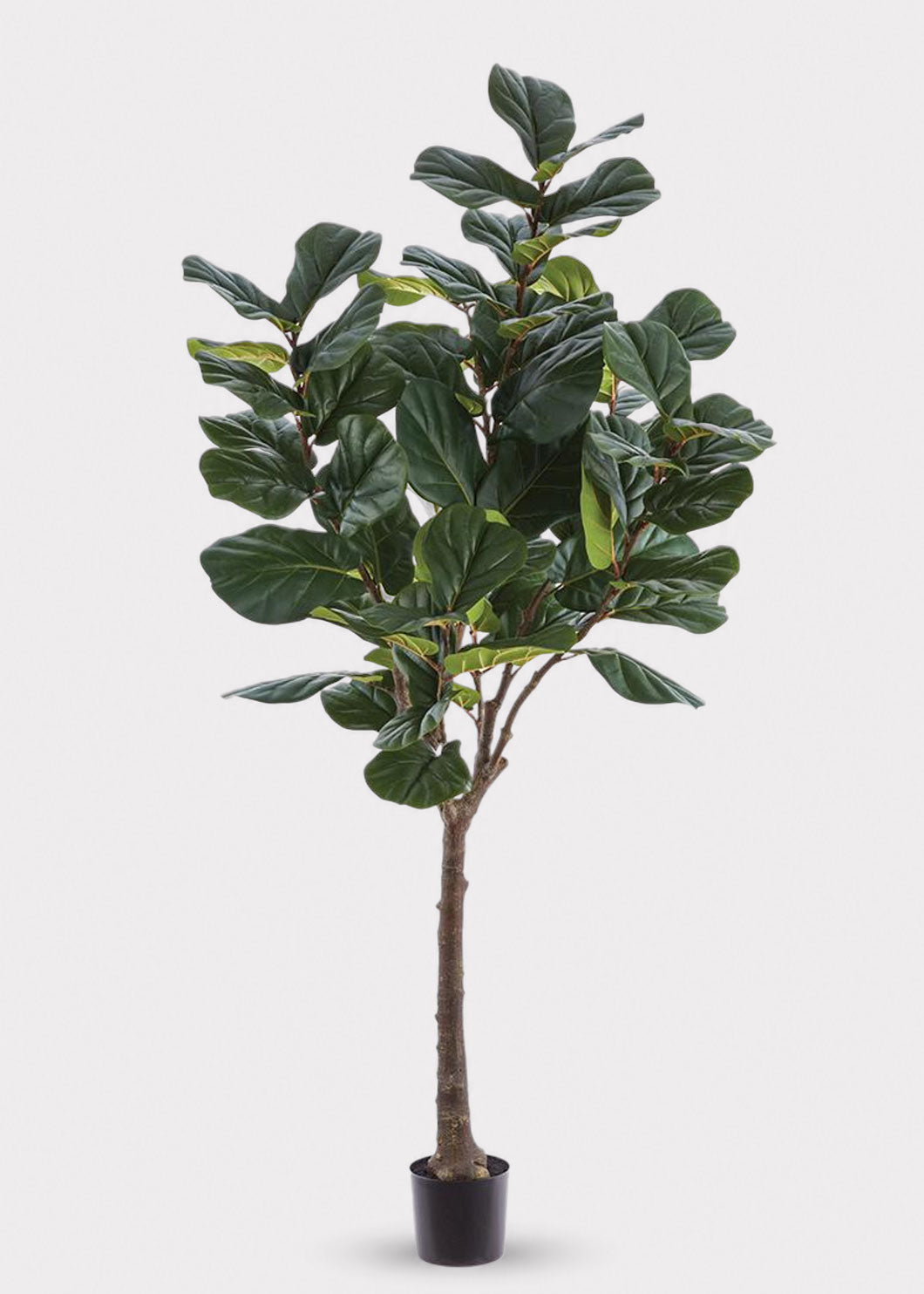 Large Potted Artificial Fiddle Leaf Tree