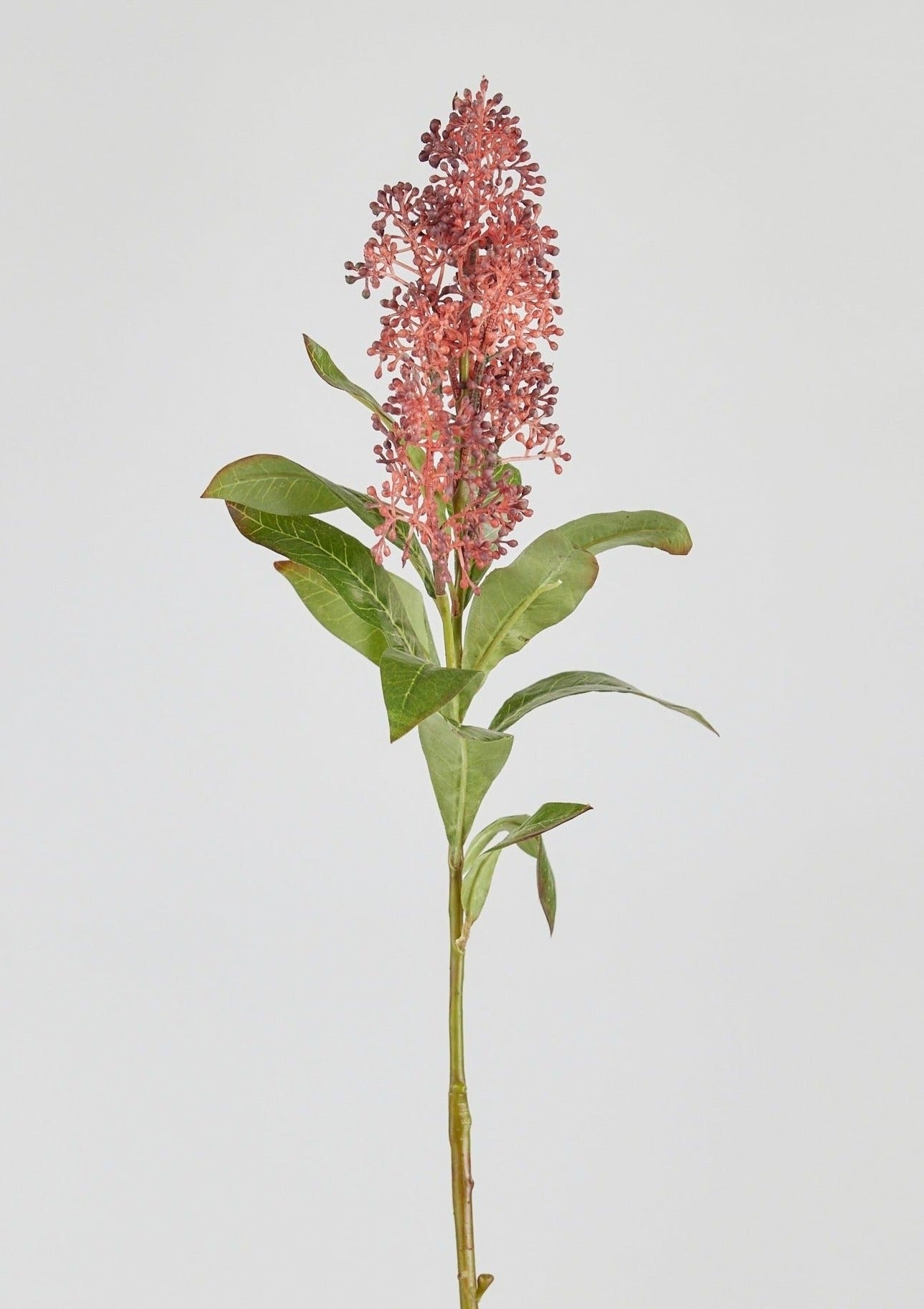 Artificial Flowers Rust Burgundy Skimmia Stem