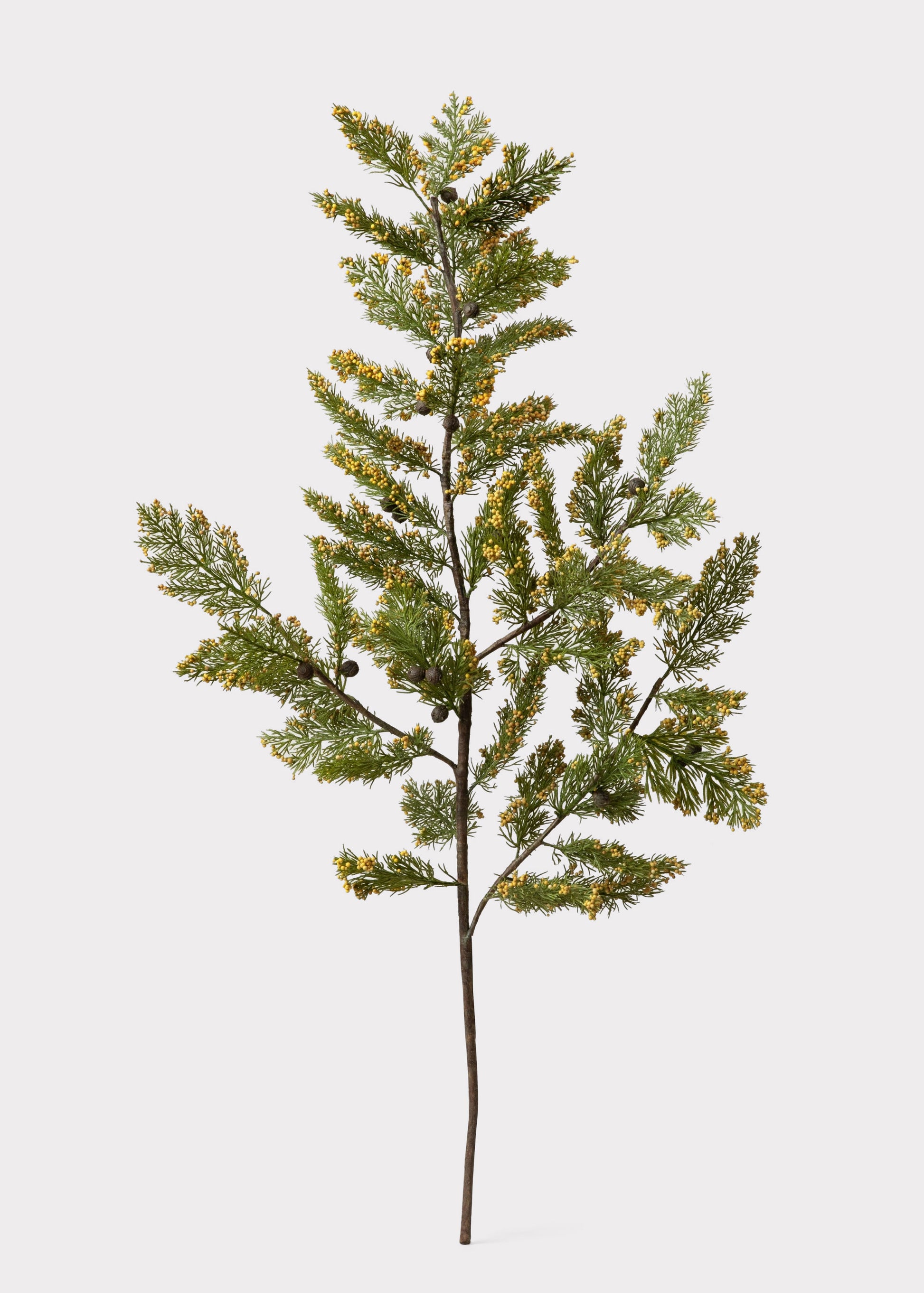 artificial evergreen branch