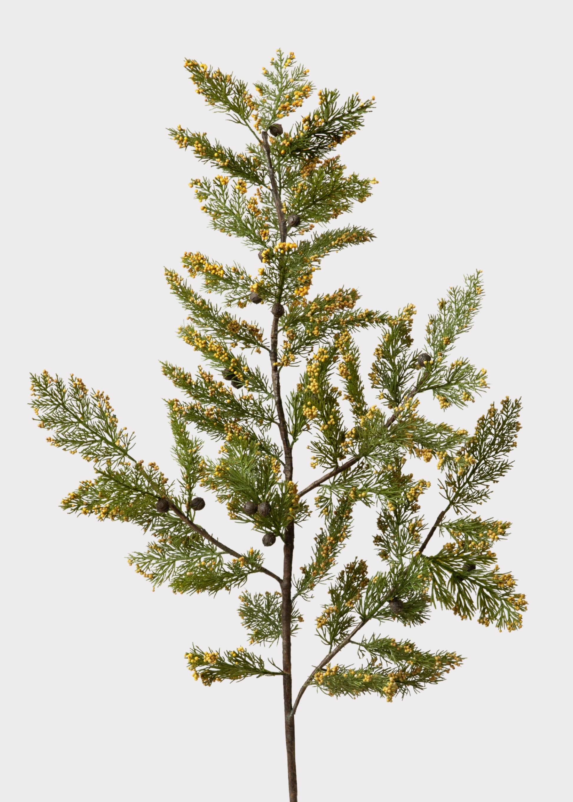 Faux Pine Evergreen Branch 