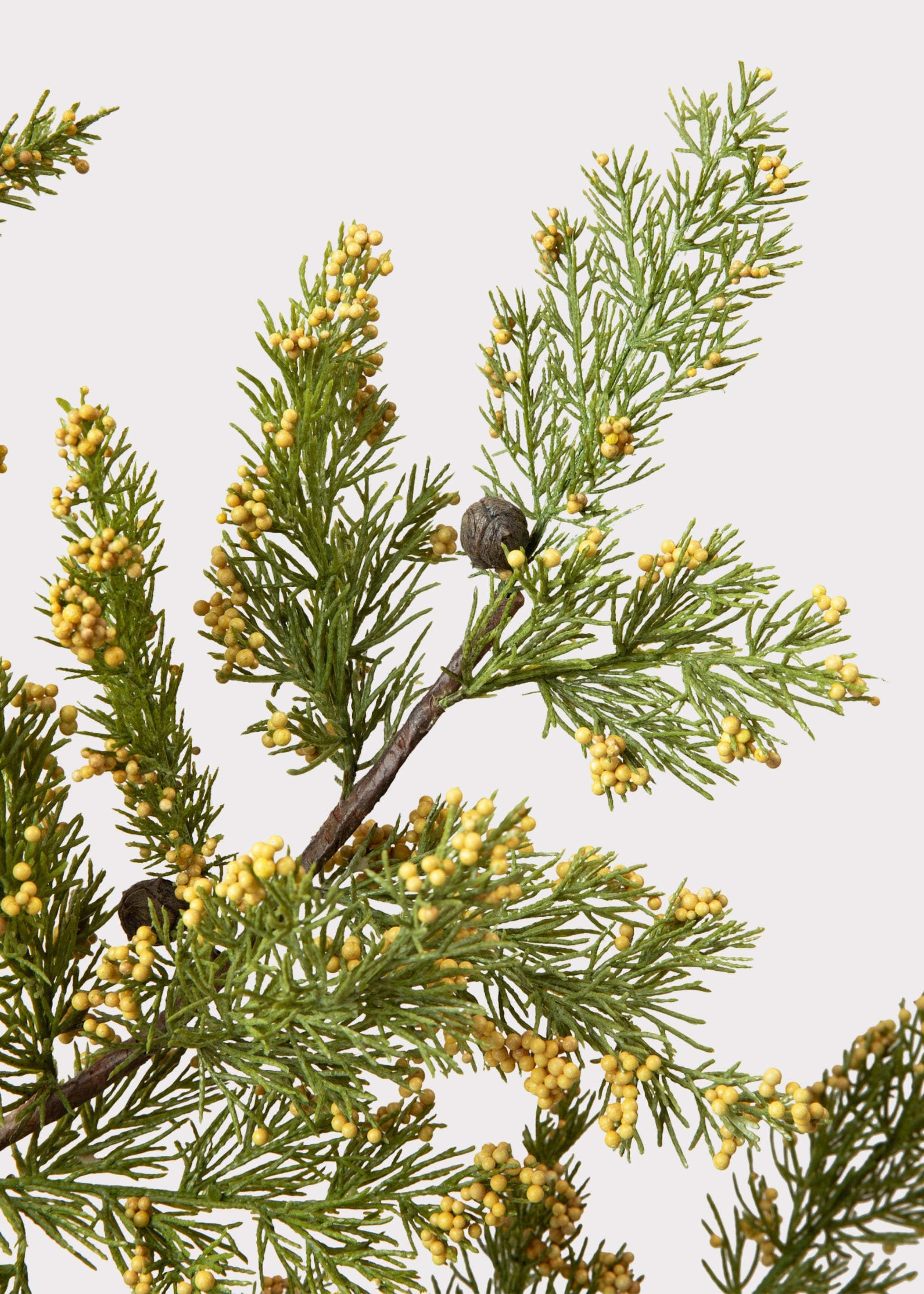Artificial Evergreen