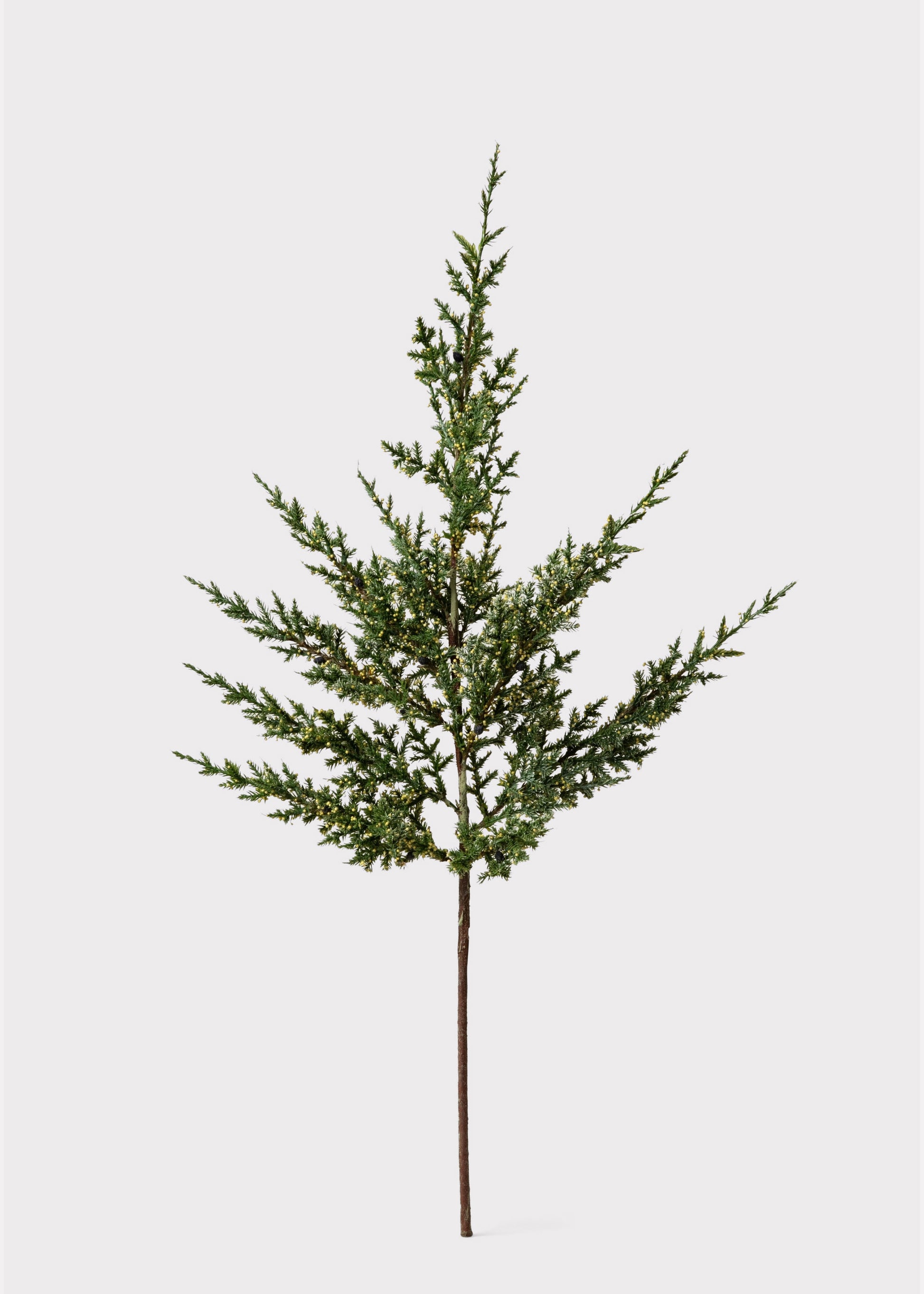 Fake Evergreen Pine Branch