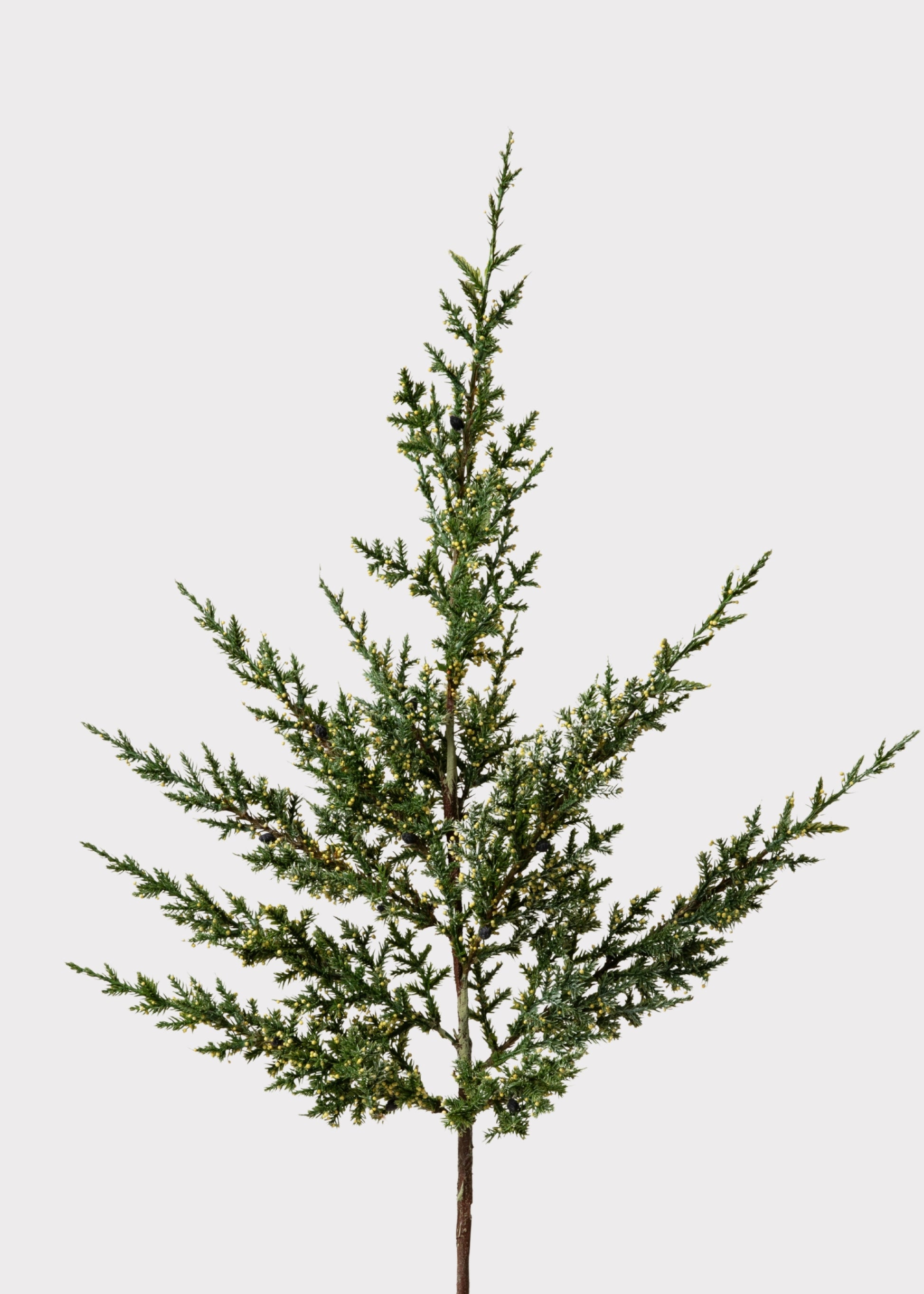 Artificial Evergreen Pine Branch