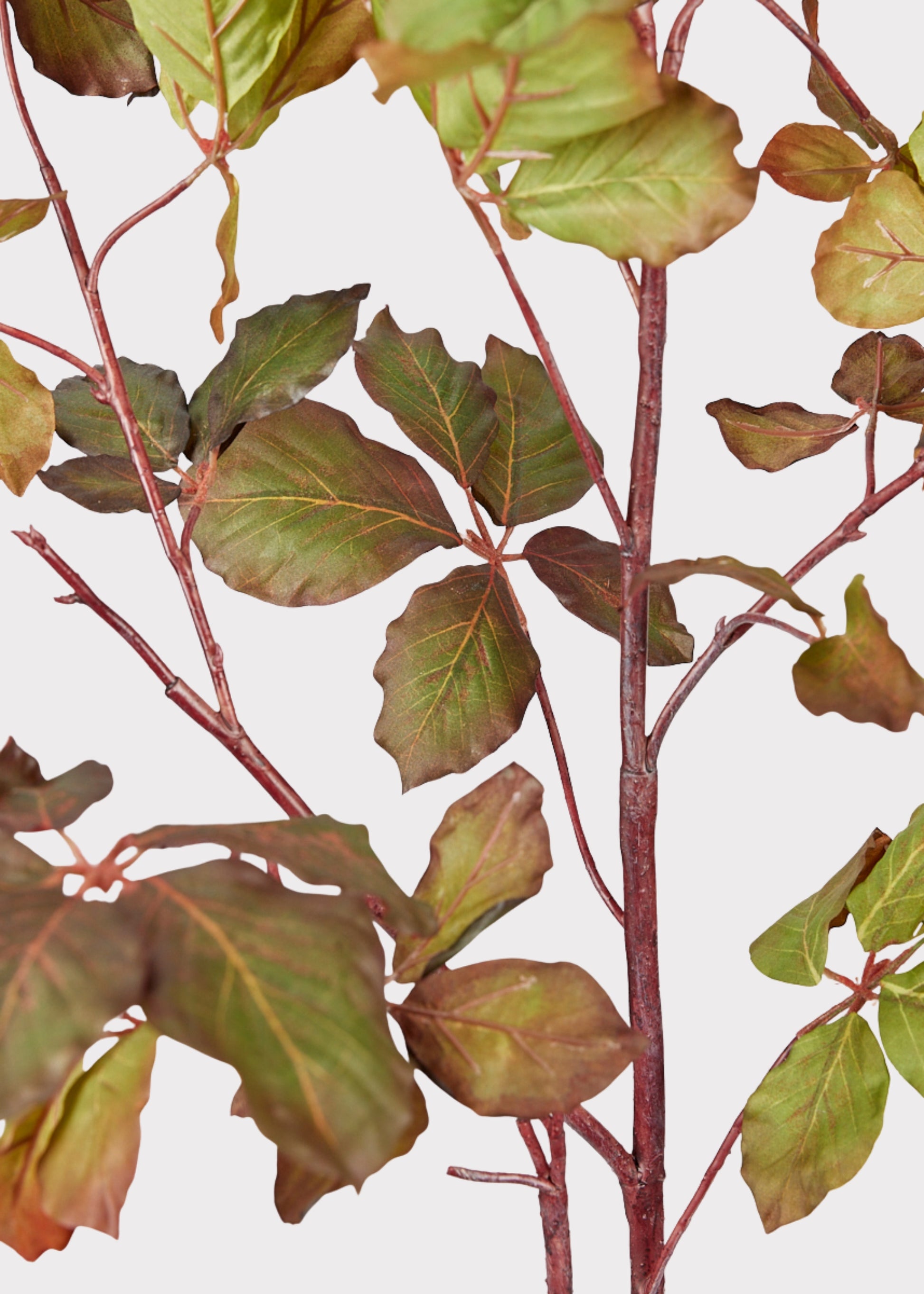 Close-up of artificial chestnut branch