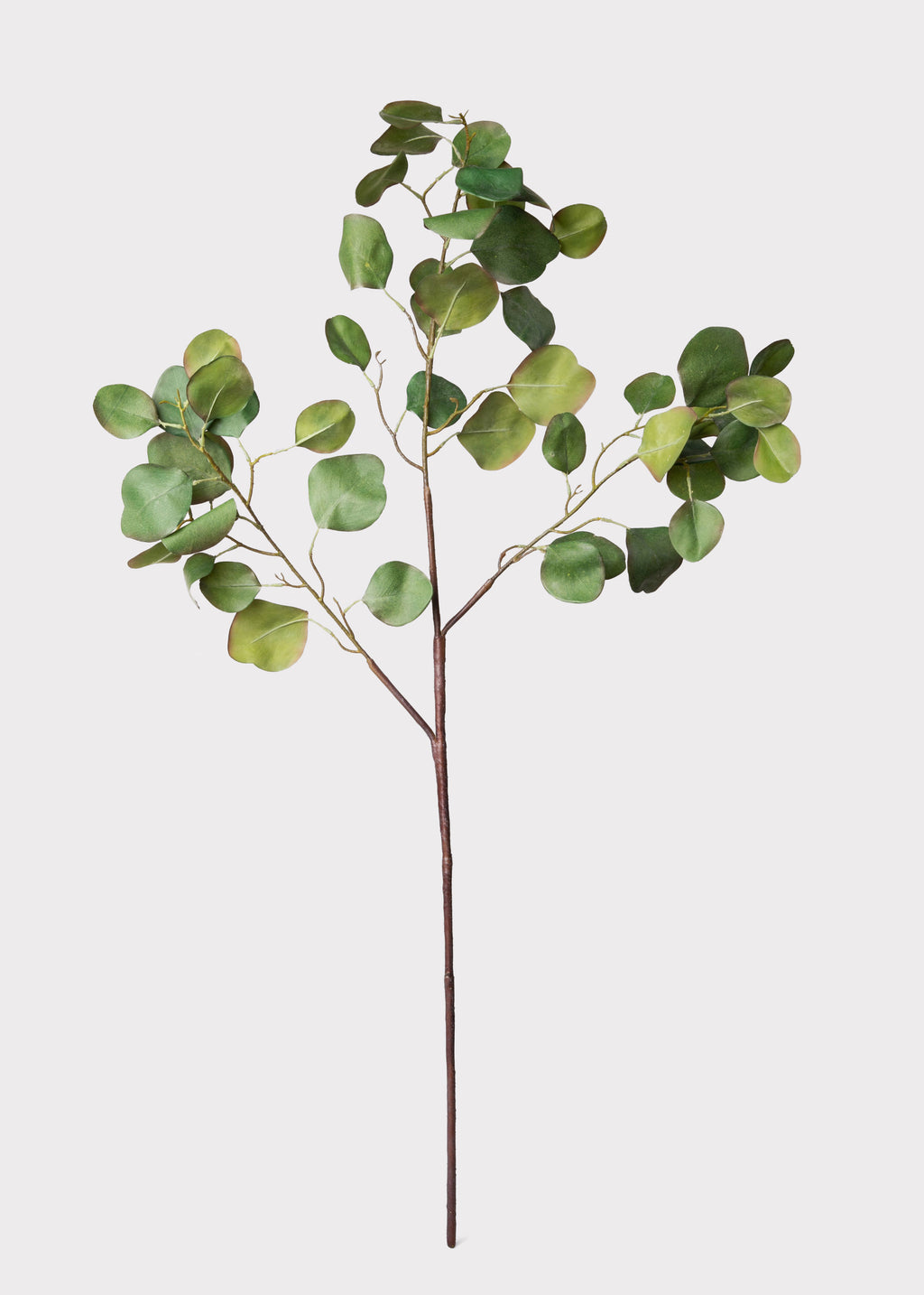 Artificial Silver Dollar Eucalyptus Stem