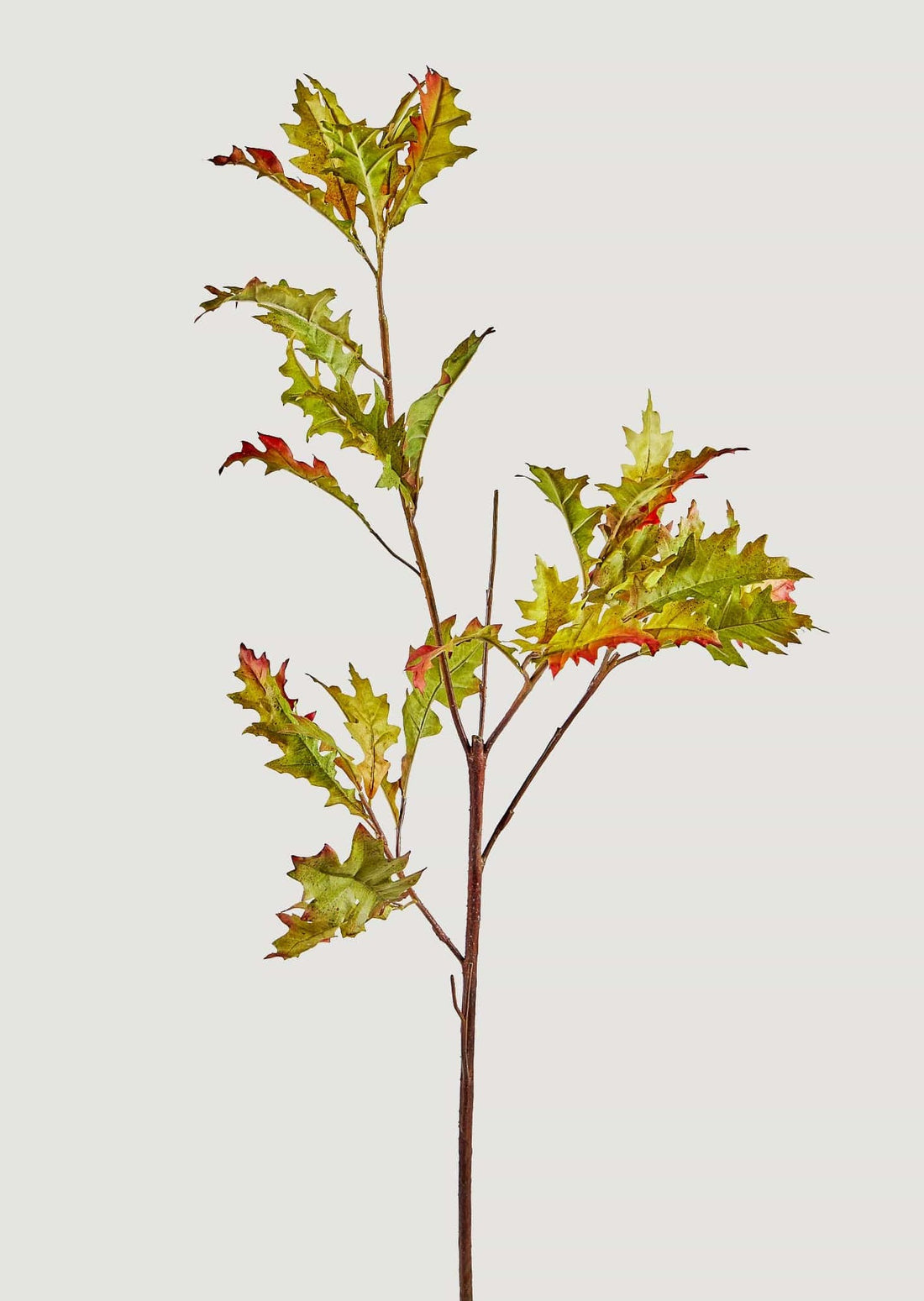 Tall Fall Oak Leaves Branch in Green Gold at Afloral