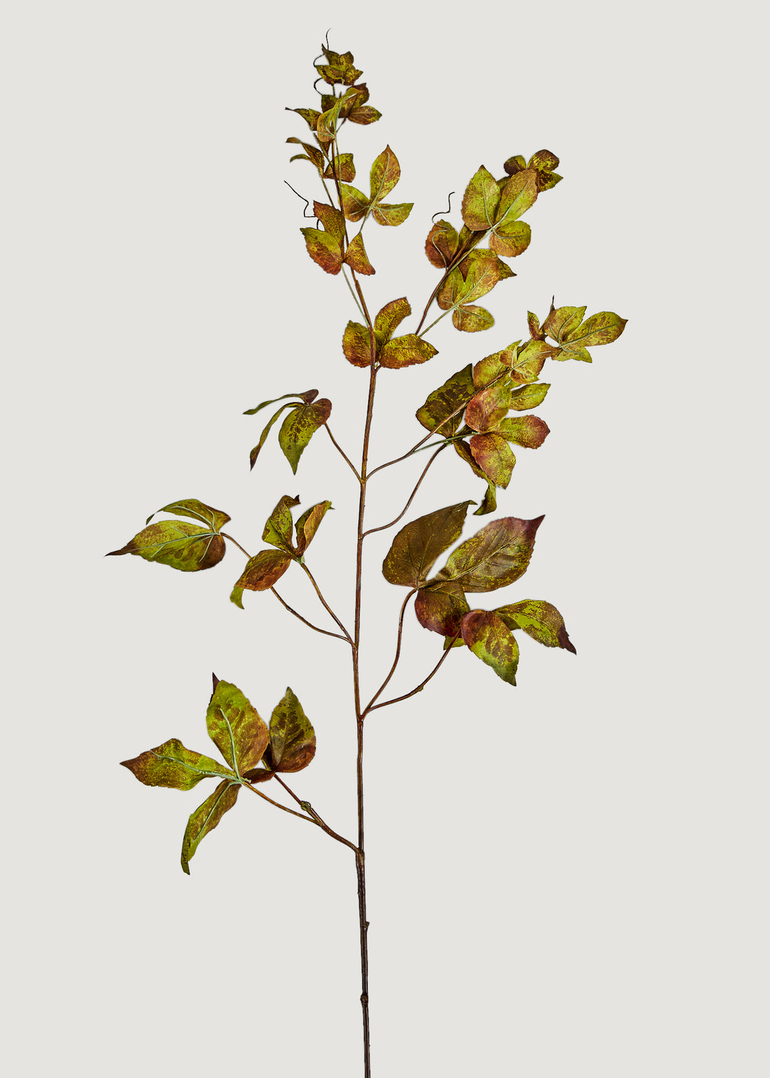 Artificial Fall Leaves Tall Grape Ivy Branch at Afloral