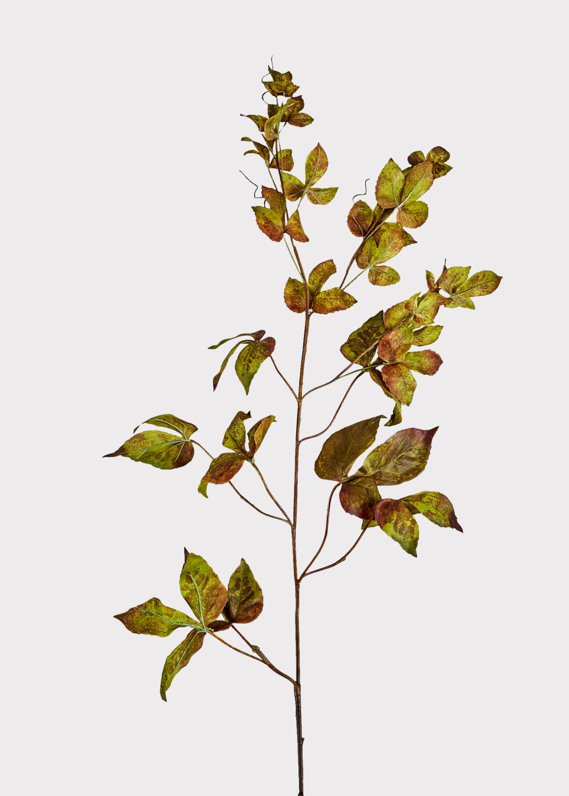 Artificial Fall Leaves Tall Grape Ivy Branch at Afloral 