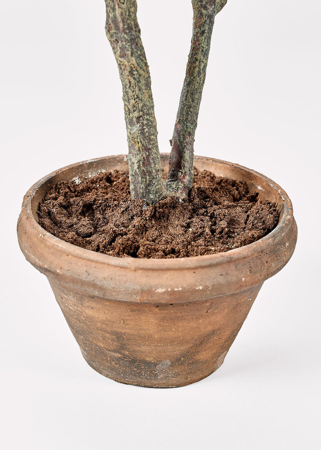 Faux Euonymus Tree Plant Closeup of Pot and Soil